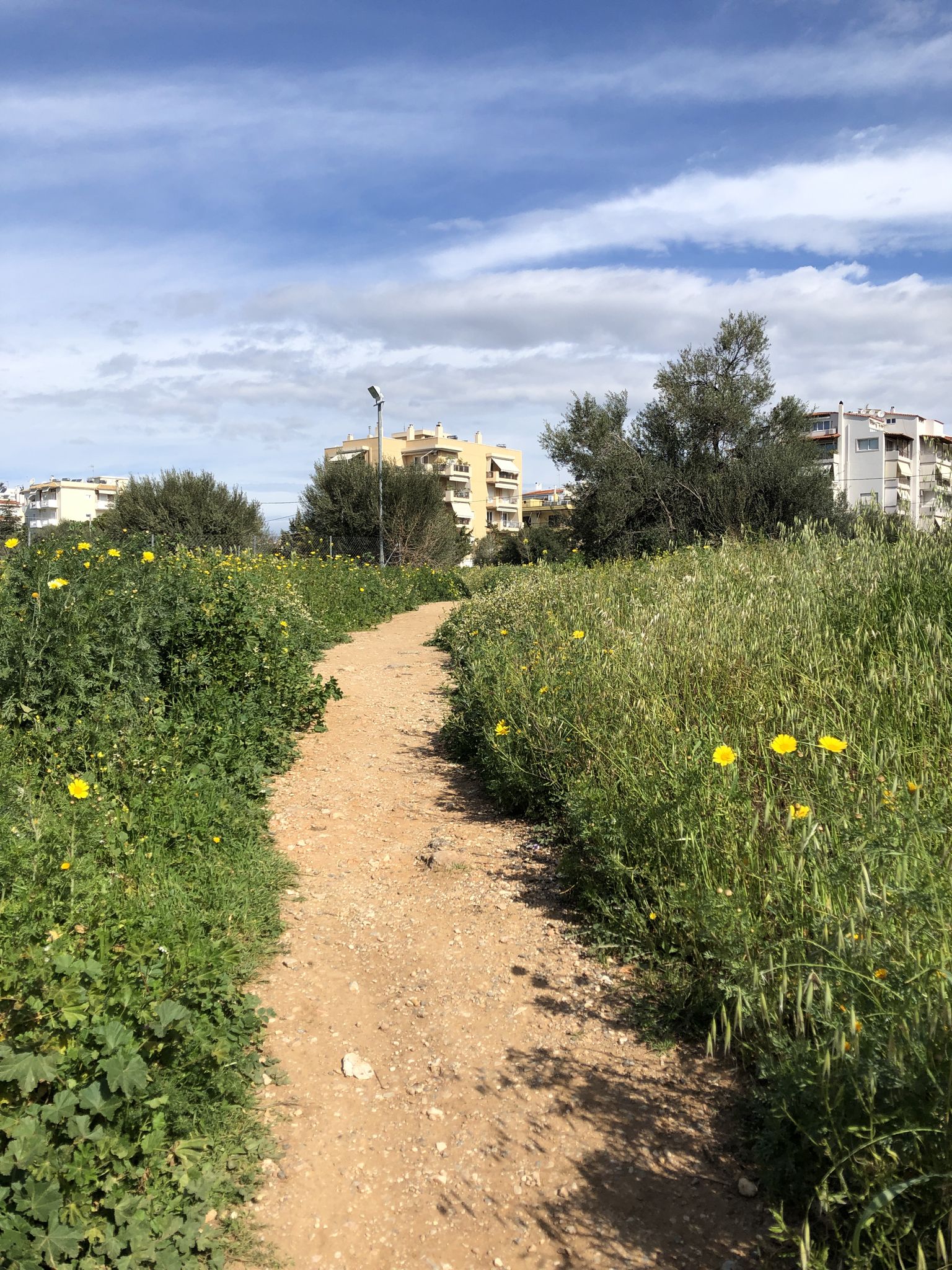 Βριλήσσια | μονοπάτι (σε οικόπεδο) | οδ. Τένεδου