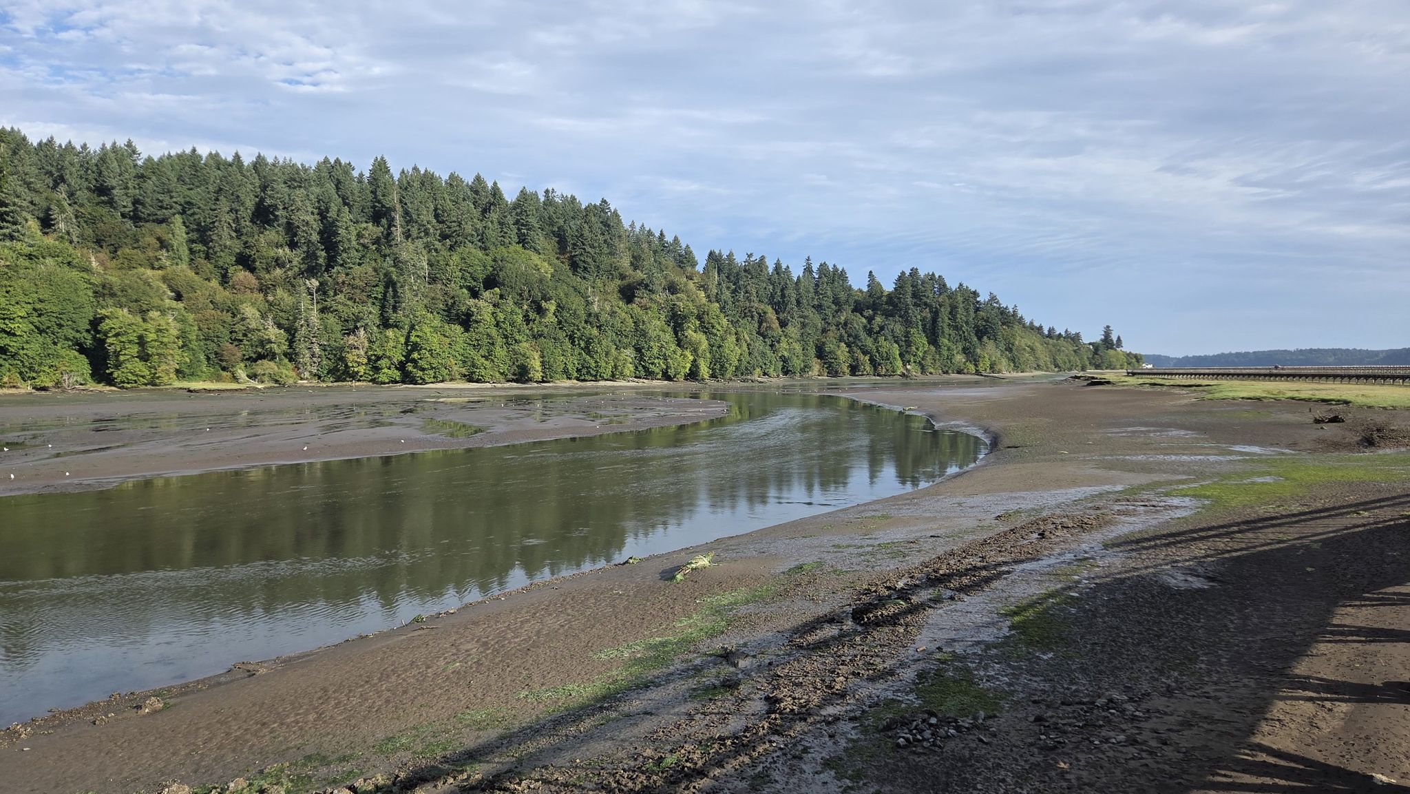 Wide river with muddy banks, dense forest, under a cloudy sky. - Nisqually Estuary Boardwalk Trail