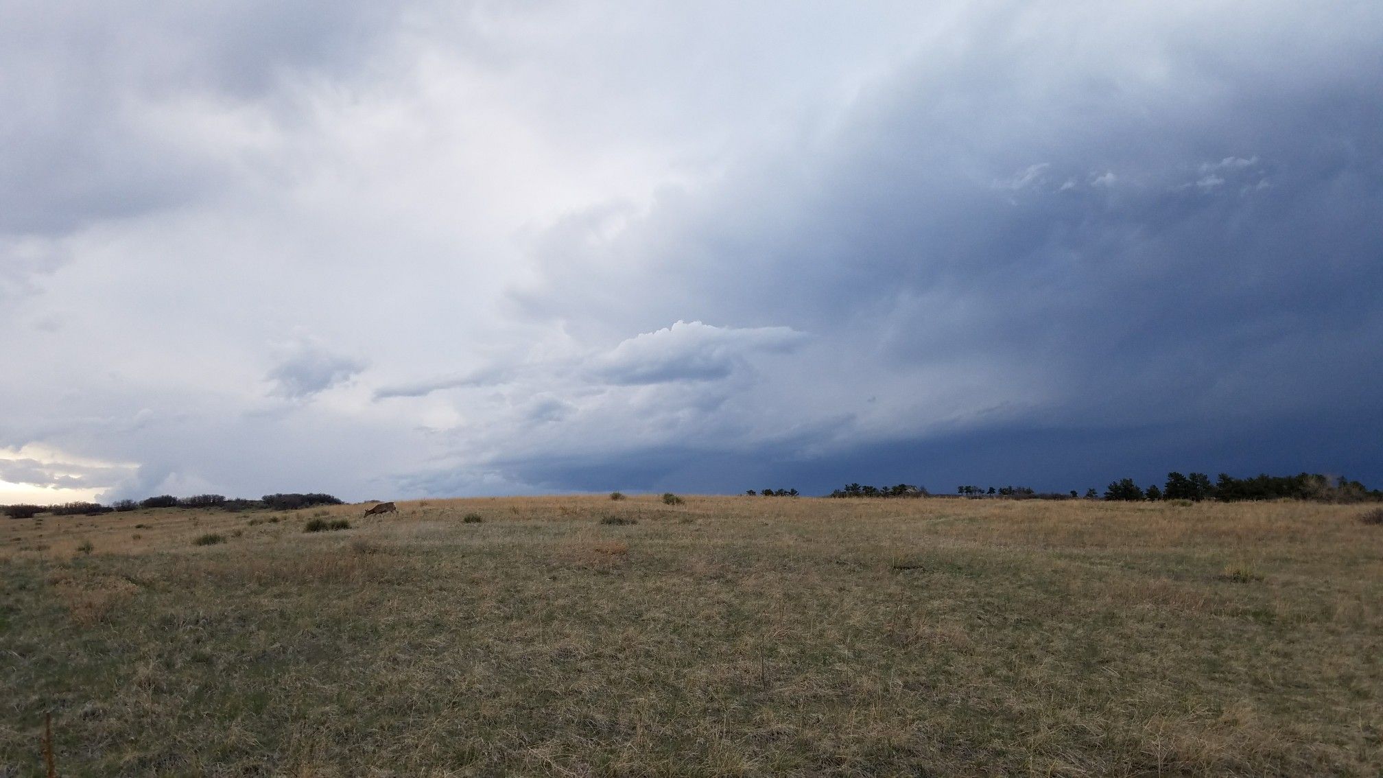 Expansive dry grassy field under a dramatic sky with dark storm clouds. - East/West Regional Trail – Eagle Point View loop from Rock Canyon High School