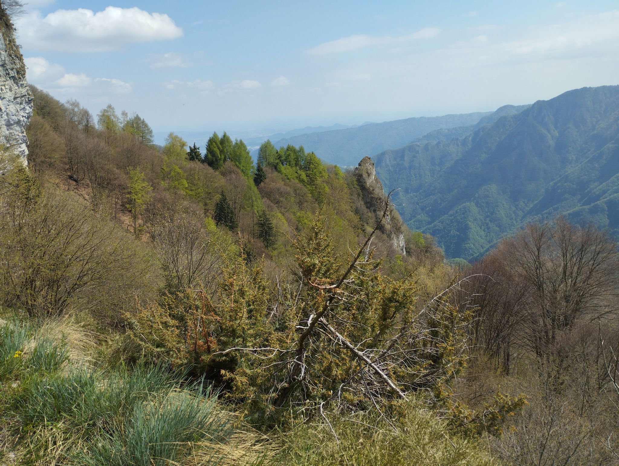 Panorama verso valle di schievenin
