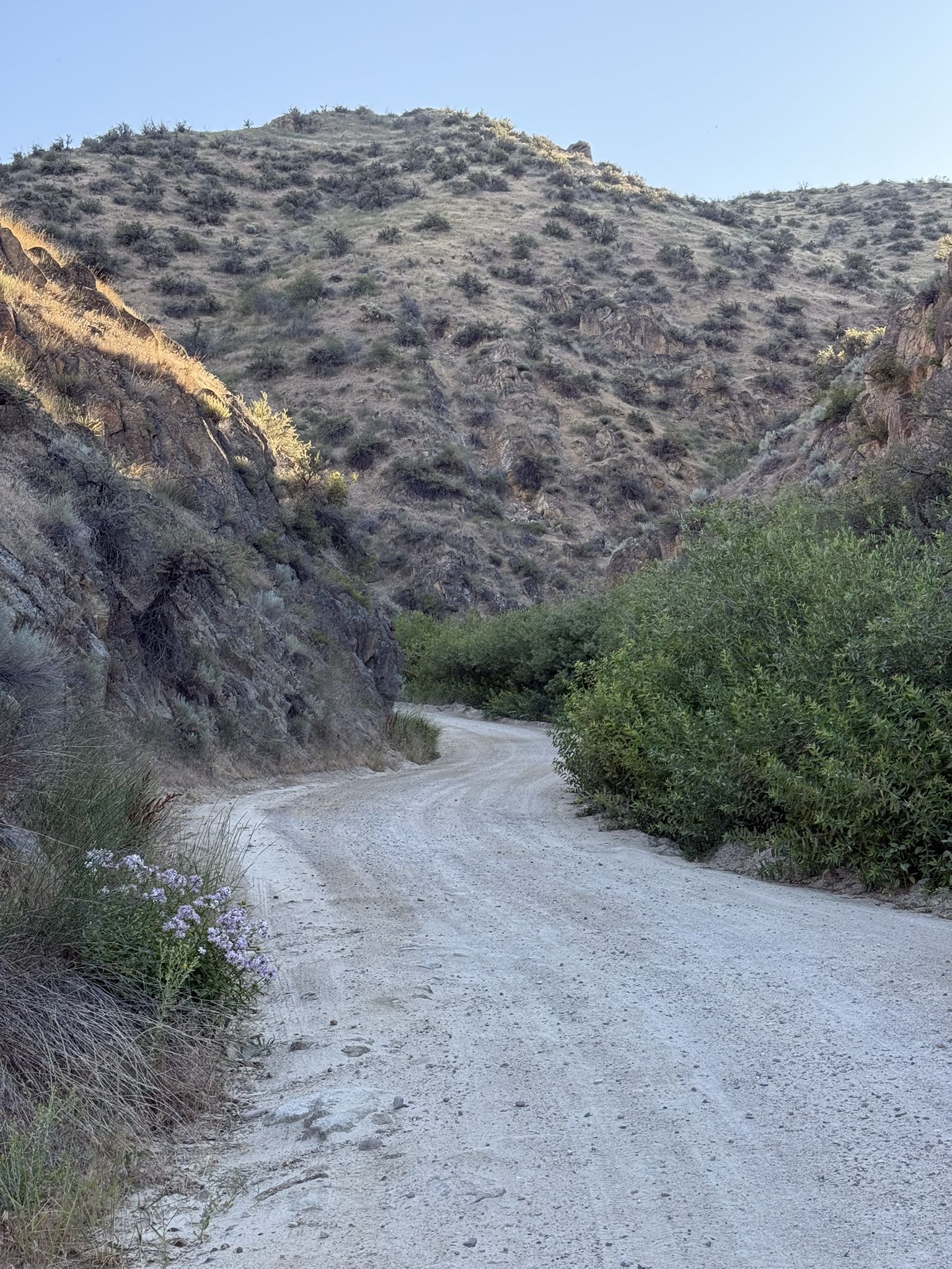 A winding dirt road passes through dry, brush-covered hills under bright sunlight. - Boise River – Boise River Greenbelt loop from Golda Harris Nature Preserve