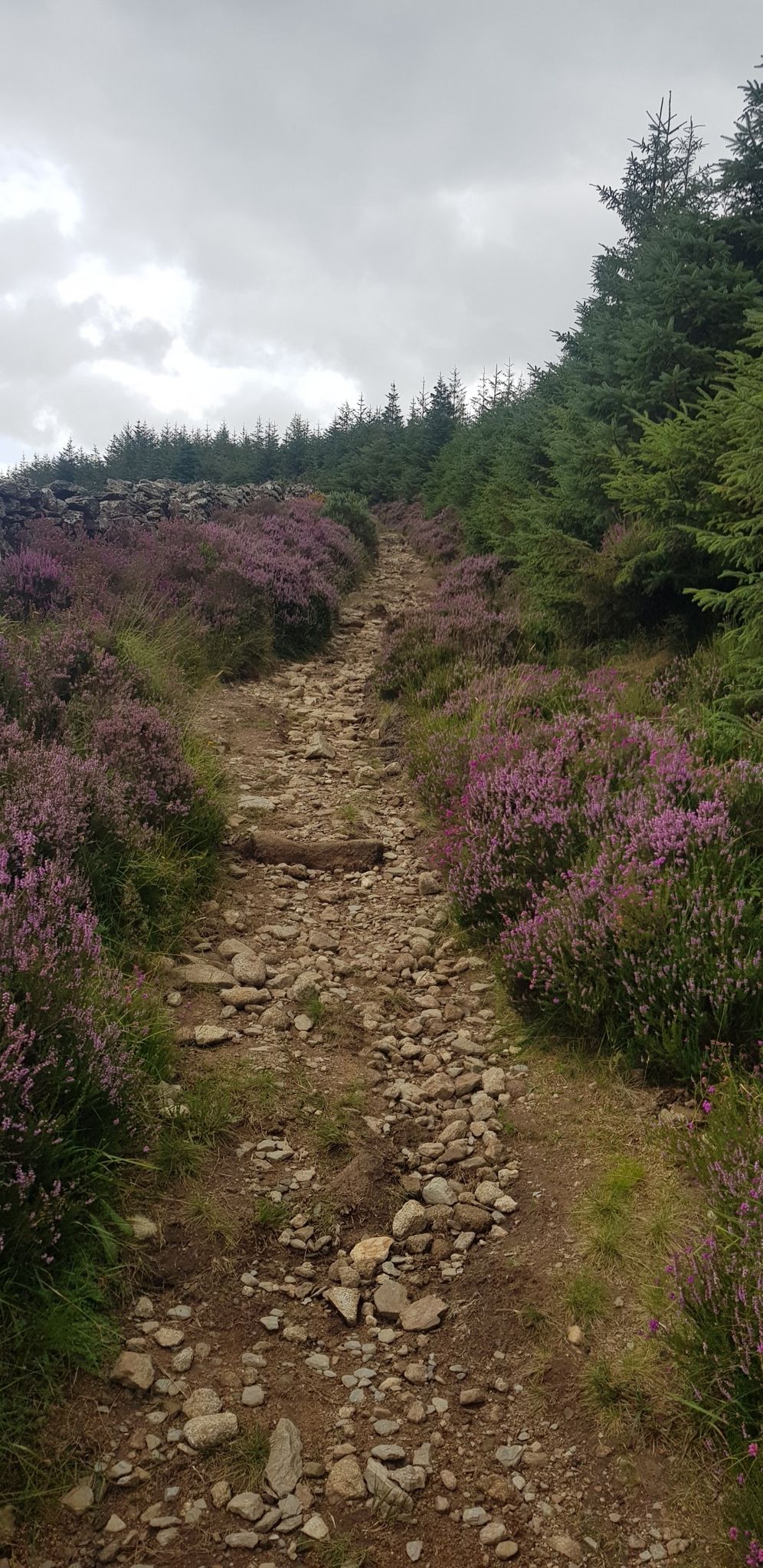 Stick to the Path