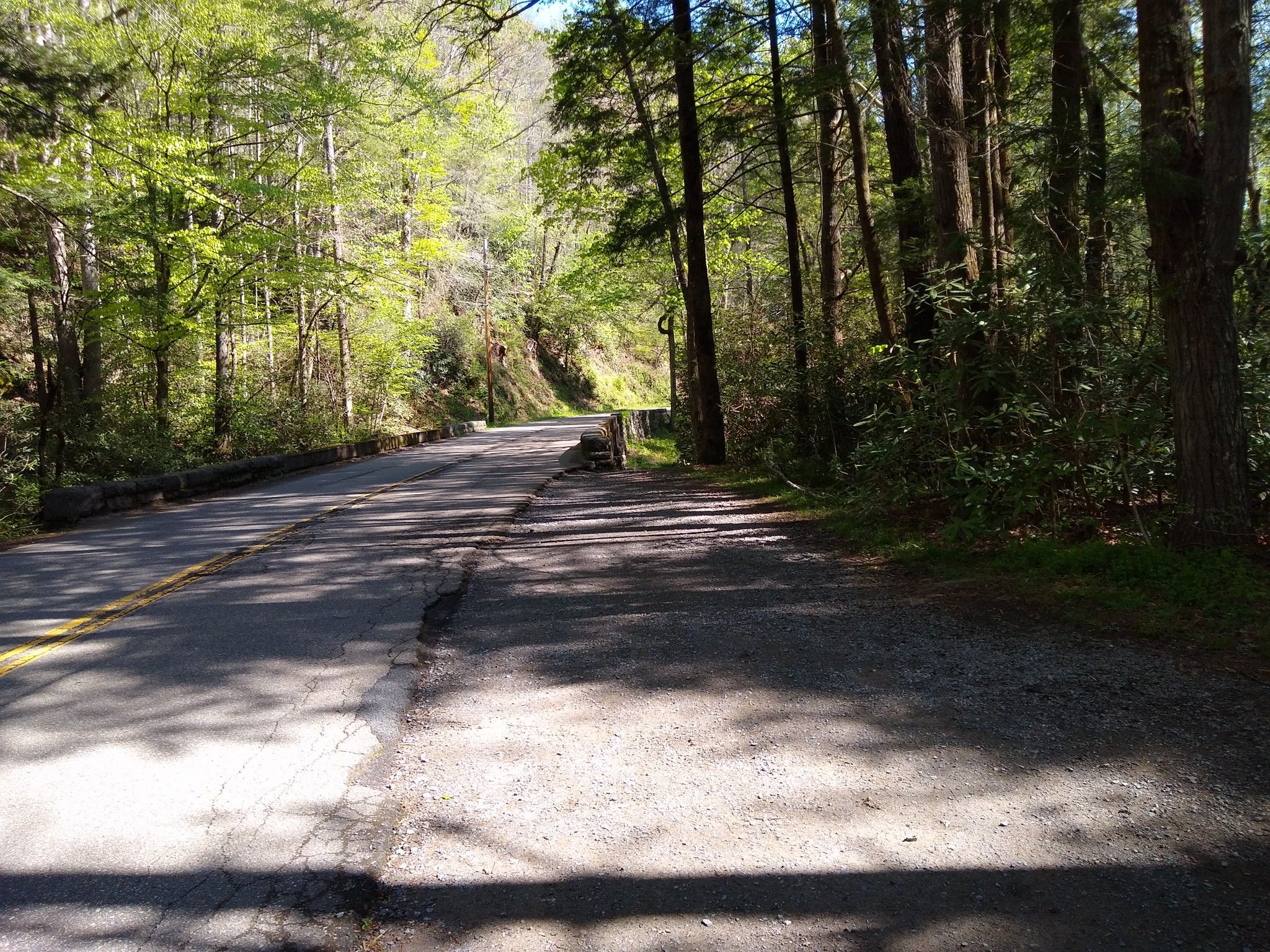 Paved road with dappled light winding through a dense forest. - Gatlinburg Trail