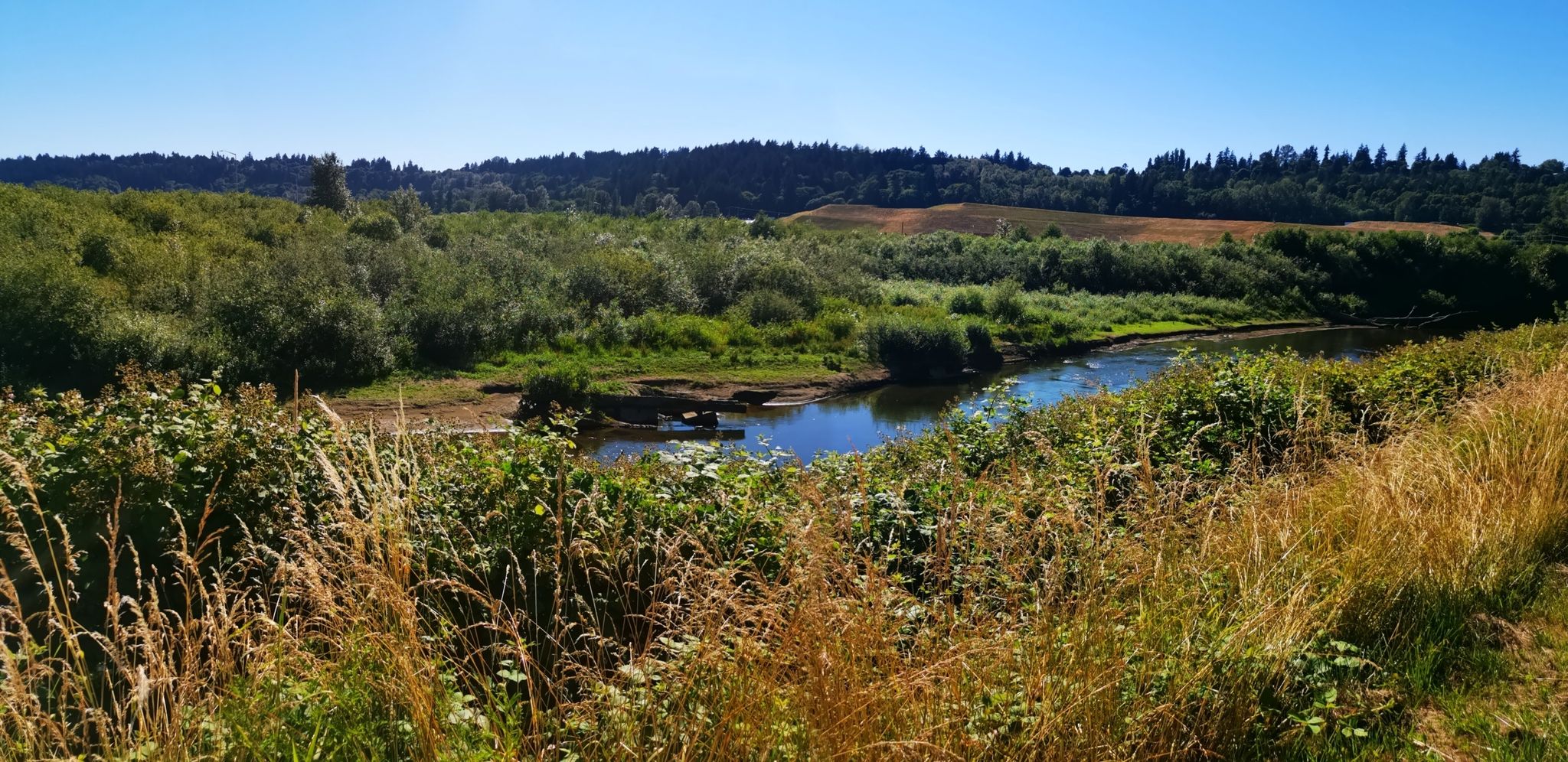 Sunny view of a winding river through lush green fields and distant forests. - Van Doren's Landing Park – Tukwila Pond Park loop from Kent