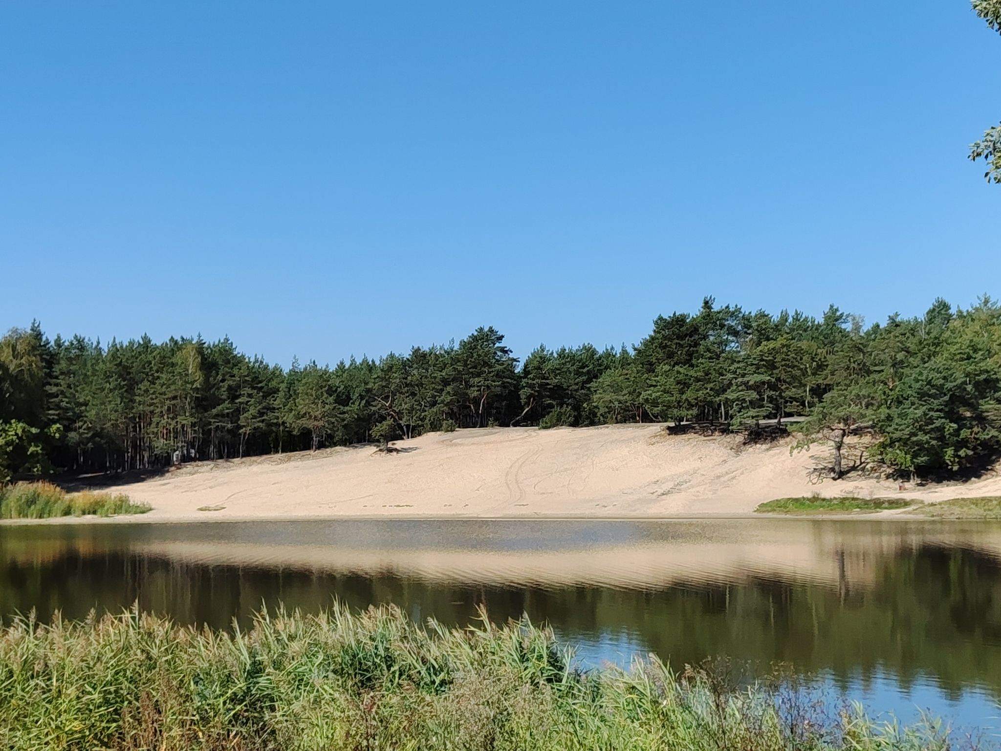 patyki plaża 