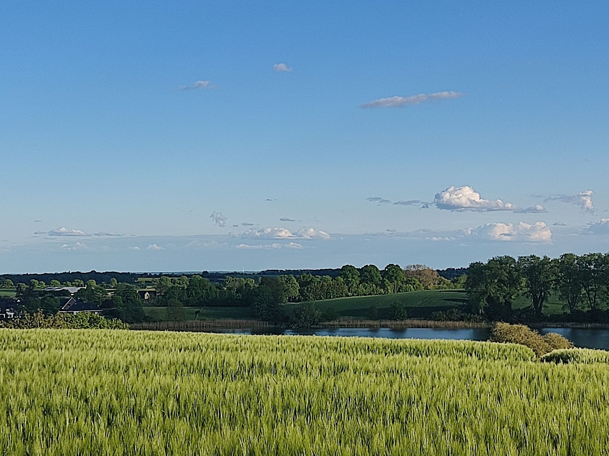 Blick auf den Heilshooper See