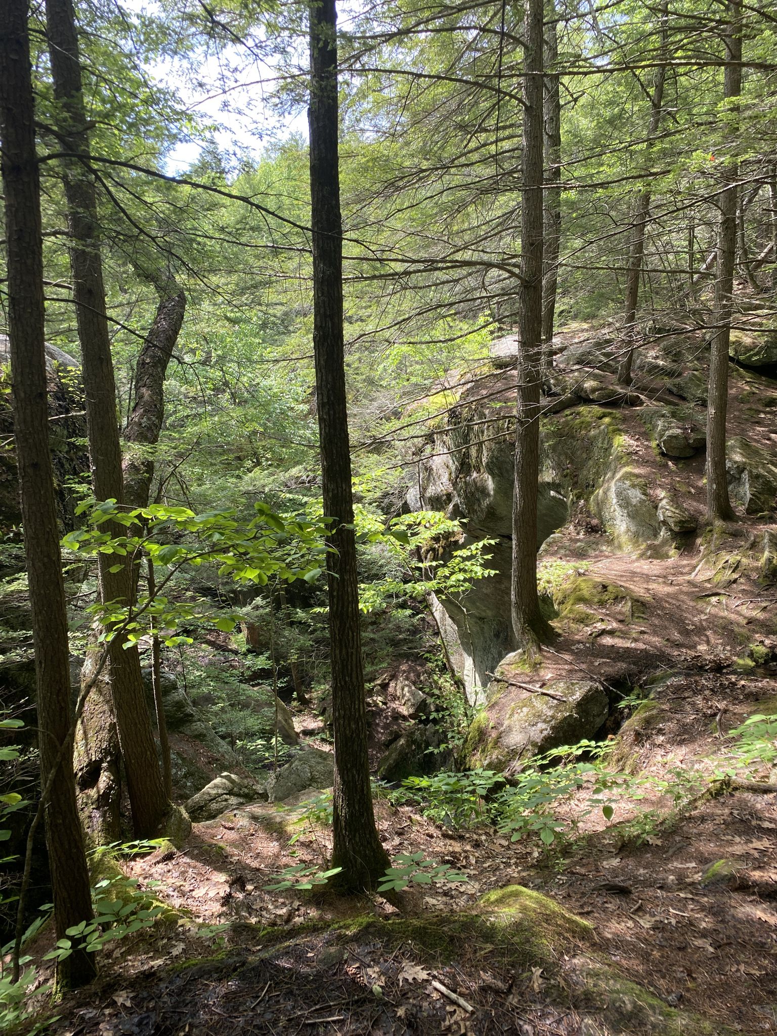 A sunlit forest path winds past large mossy rock formations and tall trees. - Kennard Trail to Martin Trail