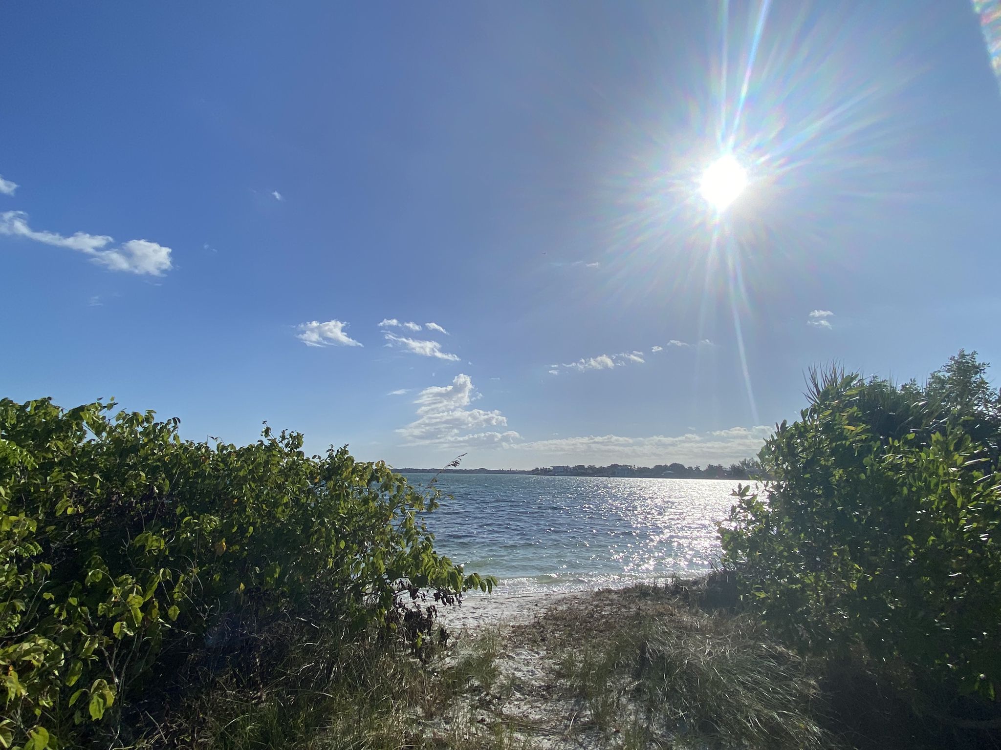 Bright sun shines over sparkling water framed by green bushes and blue sky. - South Lido Trail loop