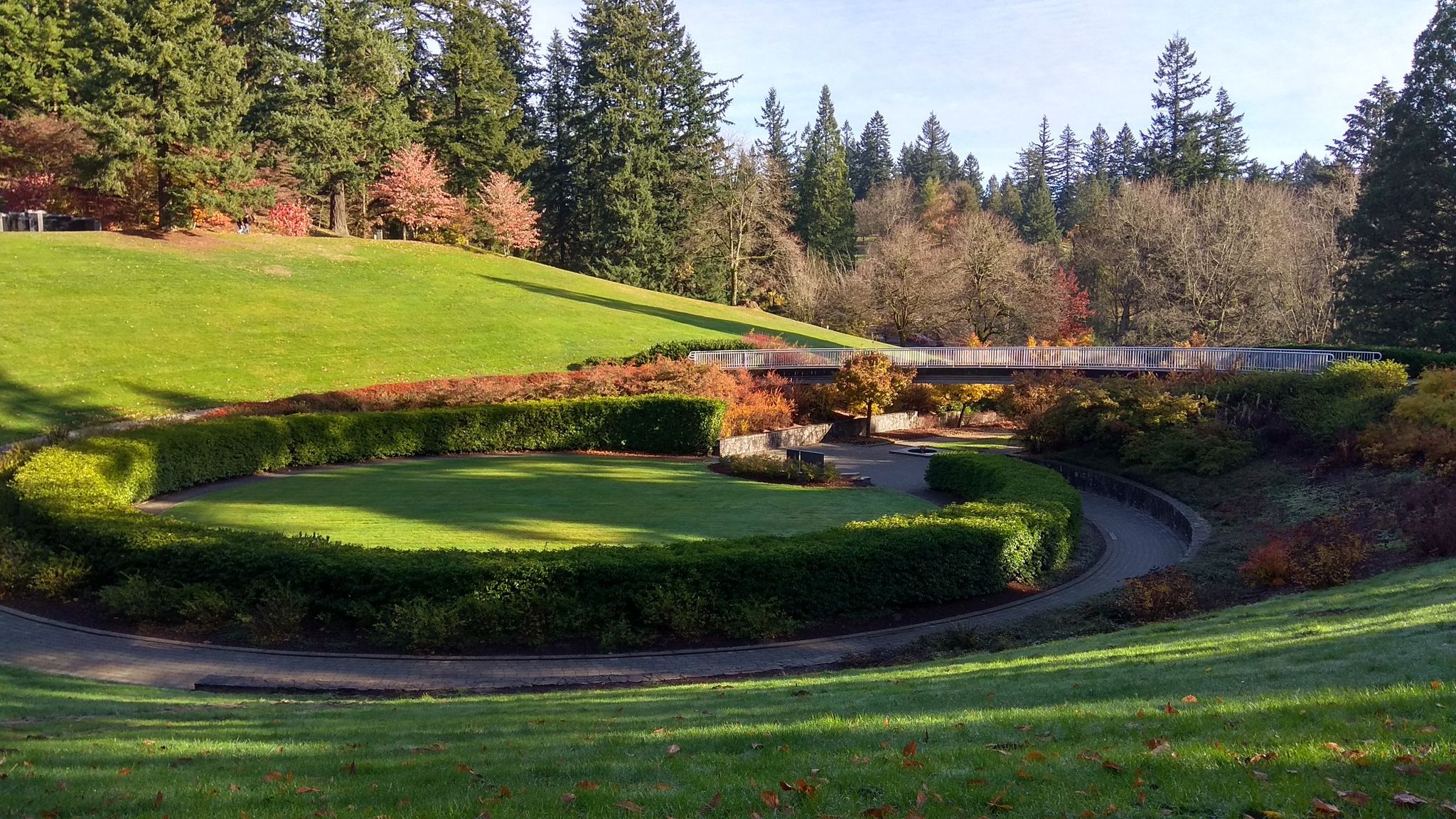 A park with a circular hedge, green lawns, and autumn trees under bright skies. - Hoyt Arboretum Loop – Washington Park