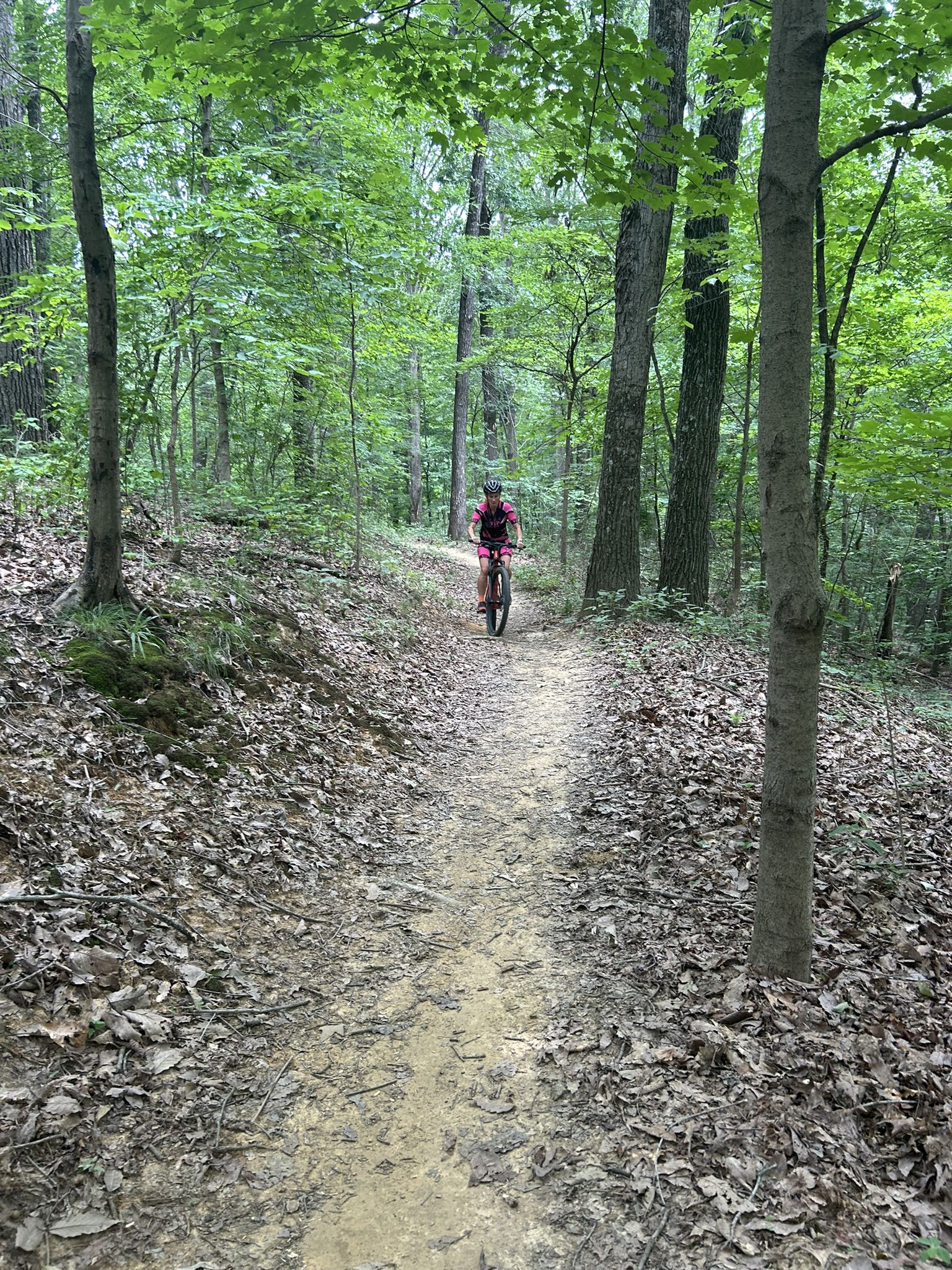 Person mountain biking on a dirt trail through a dense green forest. - Waverly Park loop from Penile