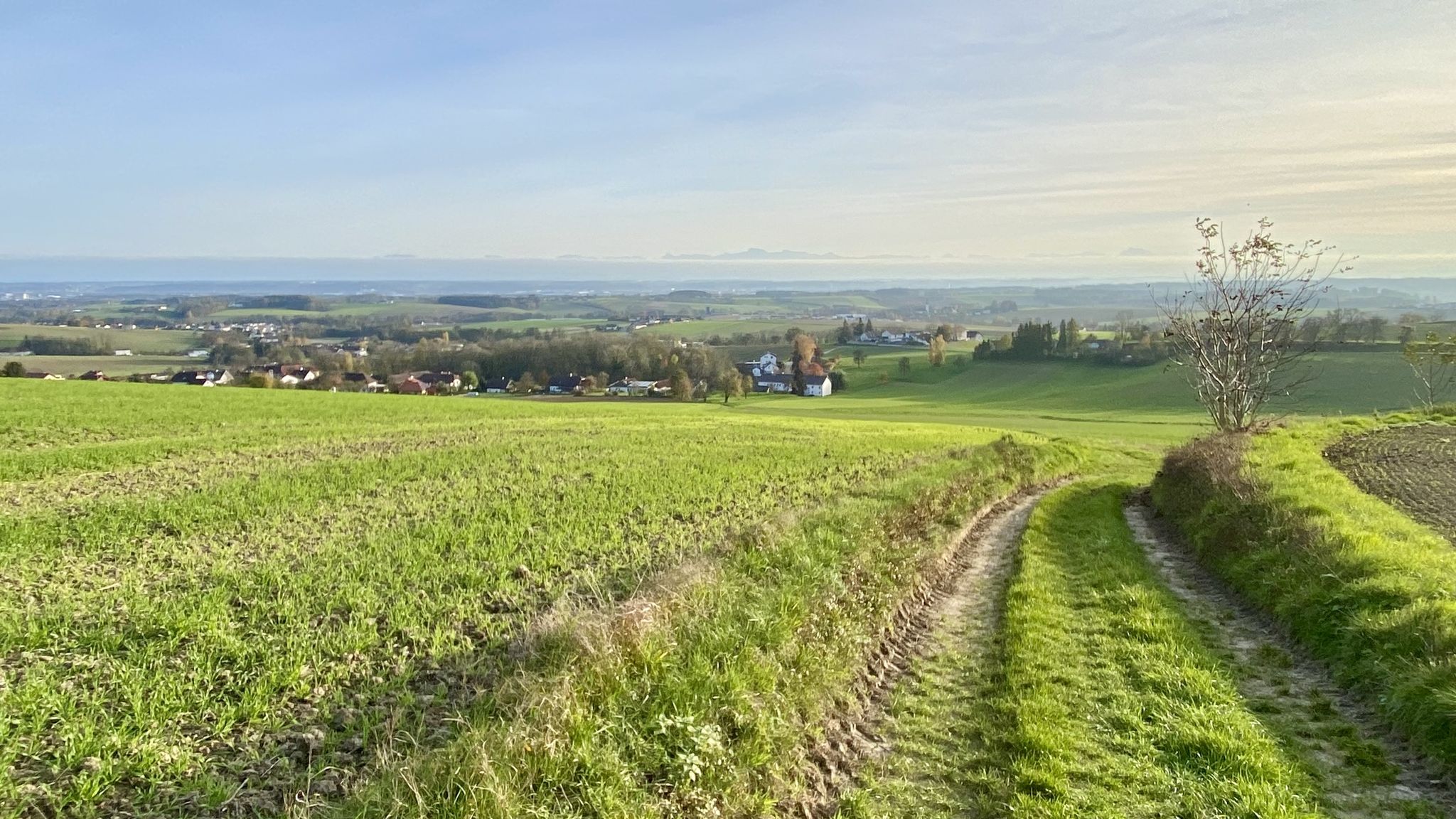 Feldweg bei Kronberg