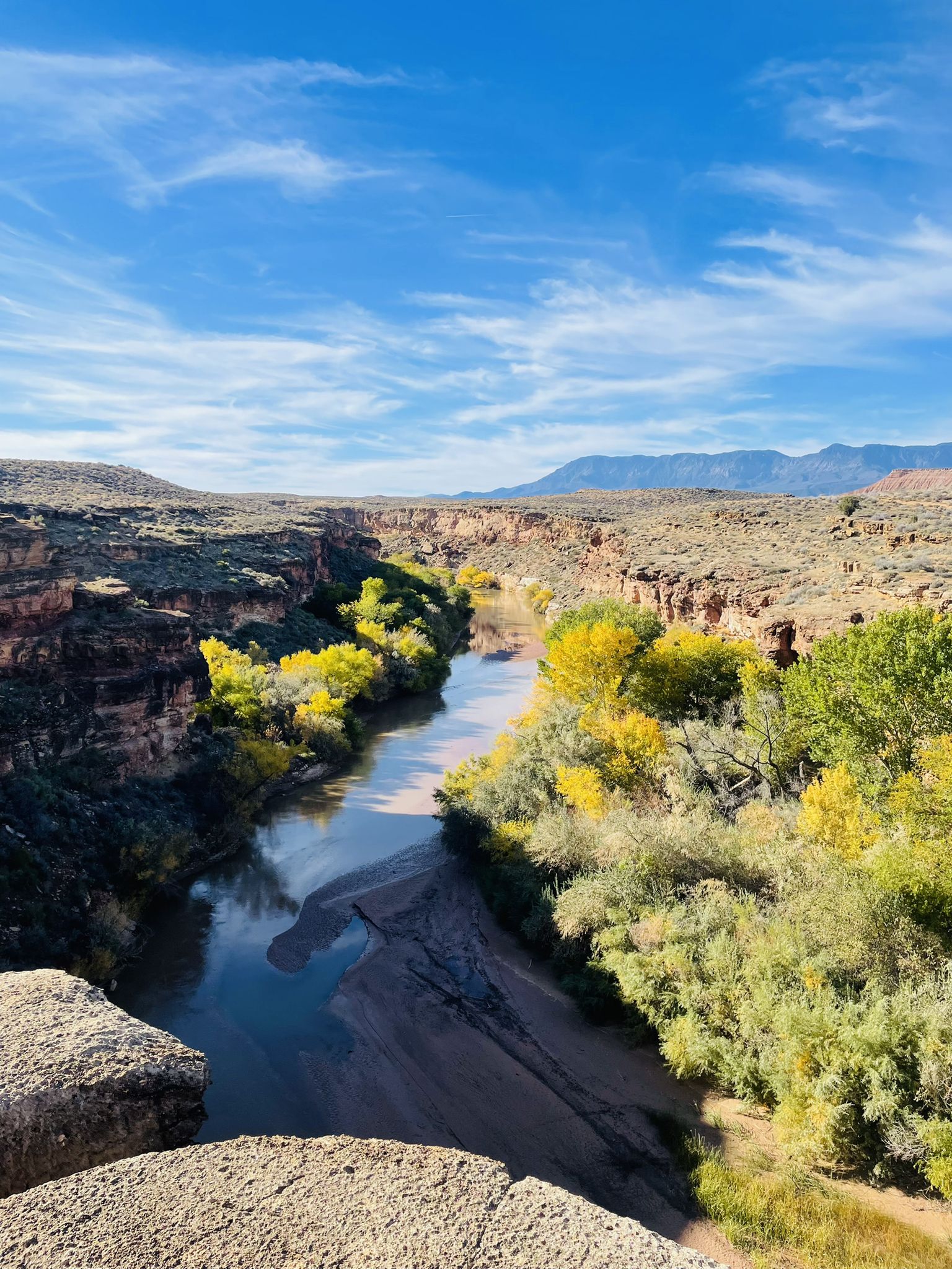 River flowing through a vibrant canyon with yellow and green trees. - Dead Ringer and JEM Trail Loop