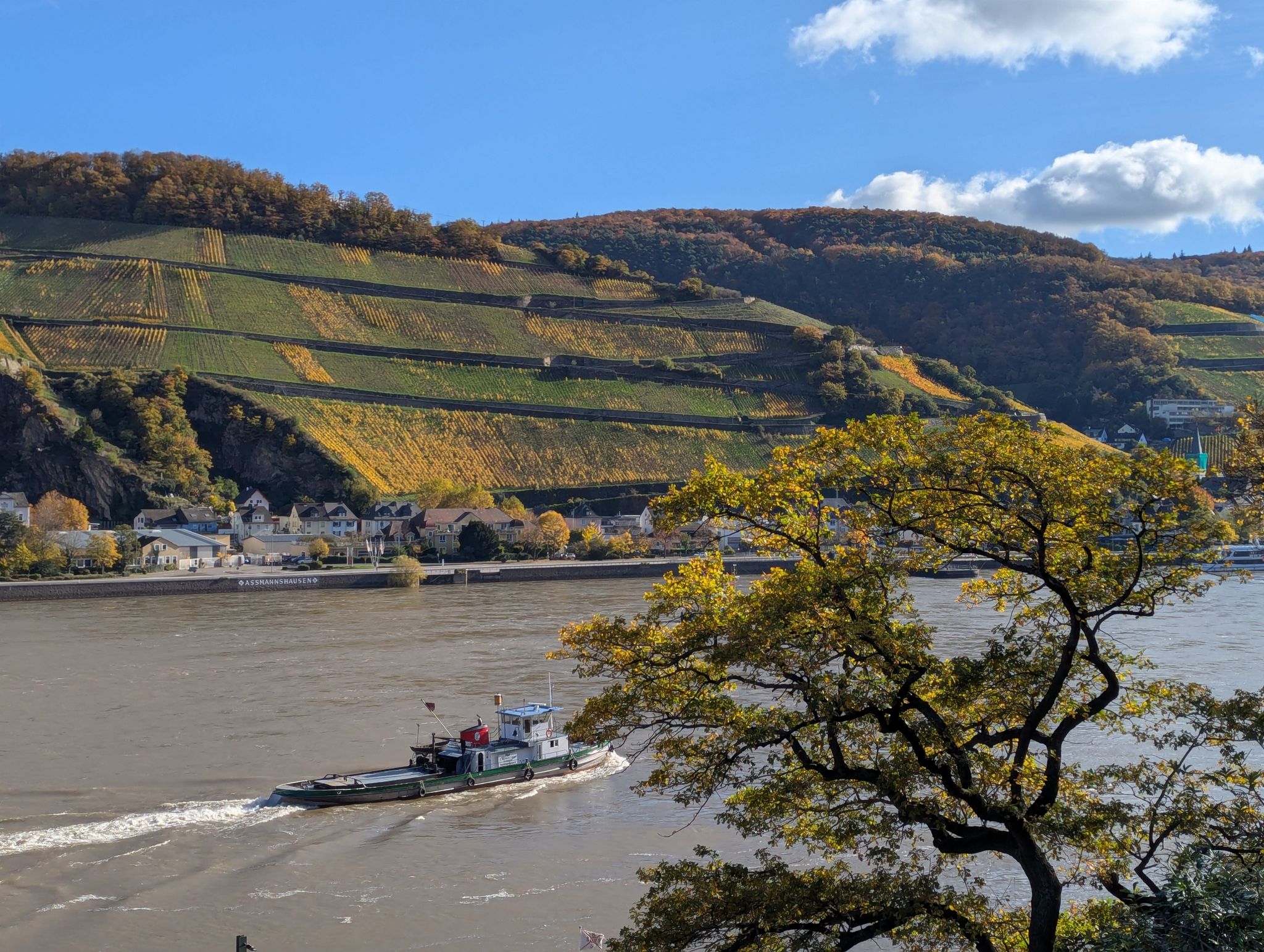 Blick von der Burg Rheinstein ins Rheintal
