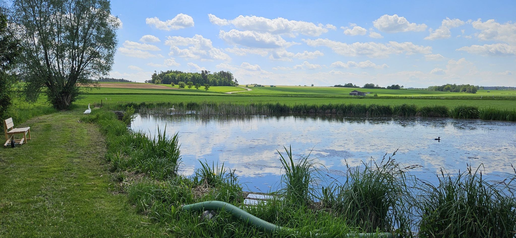 Bei Hürbel