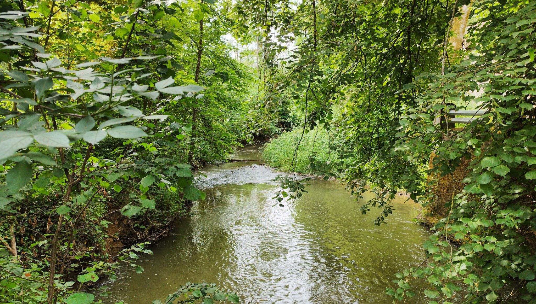 Romantischer Bachlauf an der alten Mühle