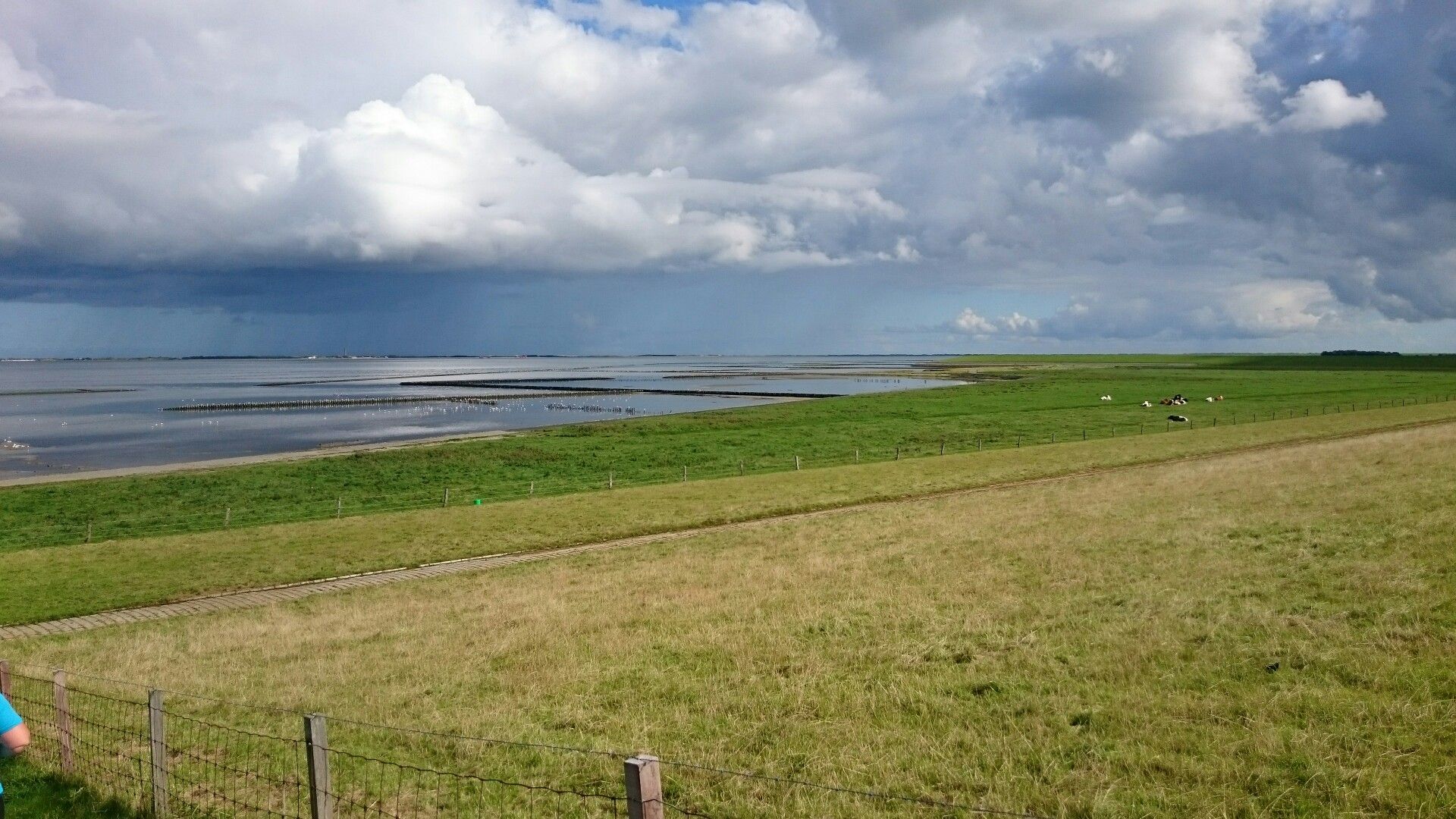 Blick auf Baltrum