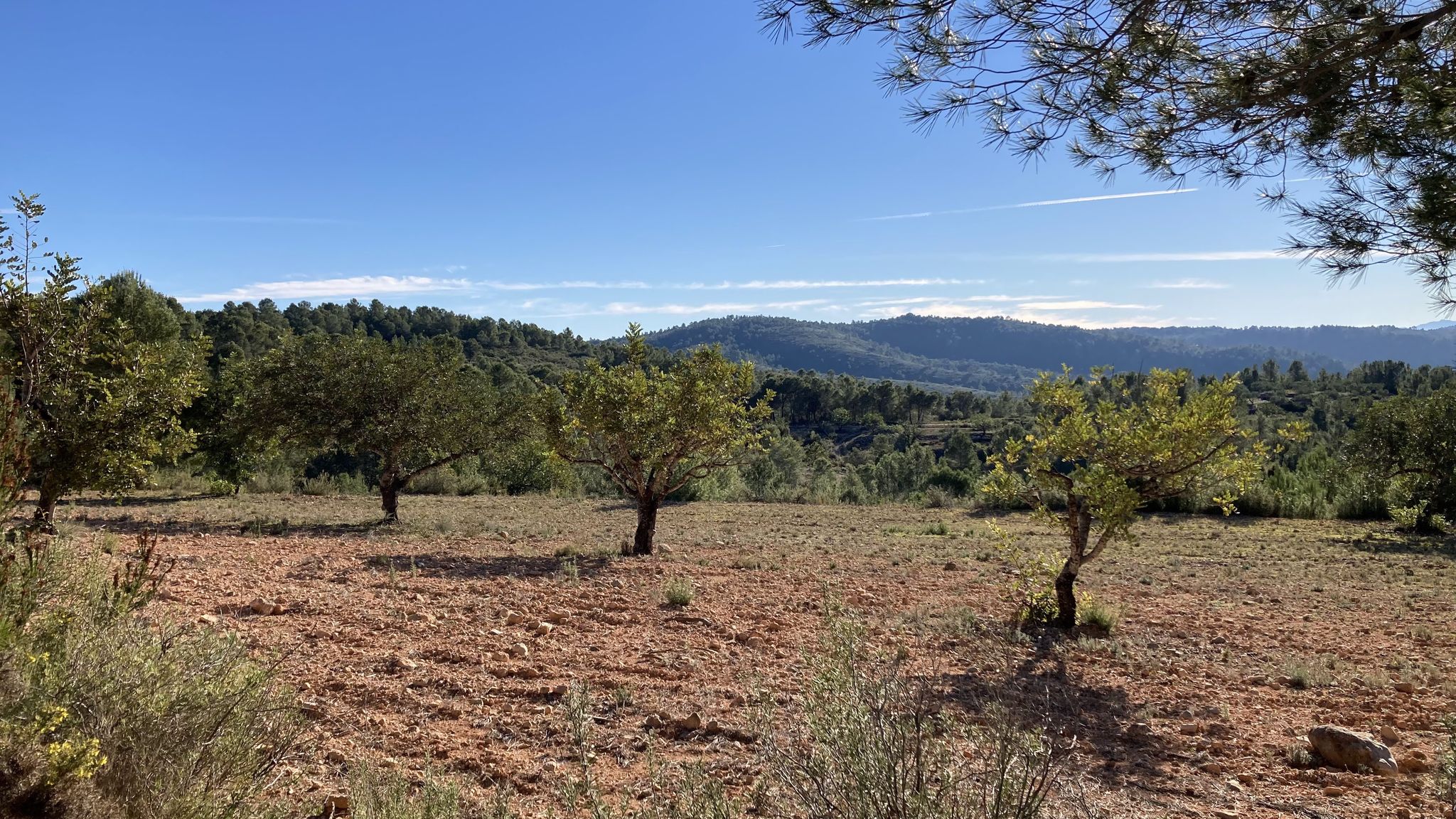 Vistas hacia La Bodilla