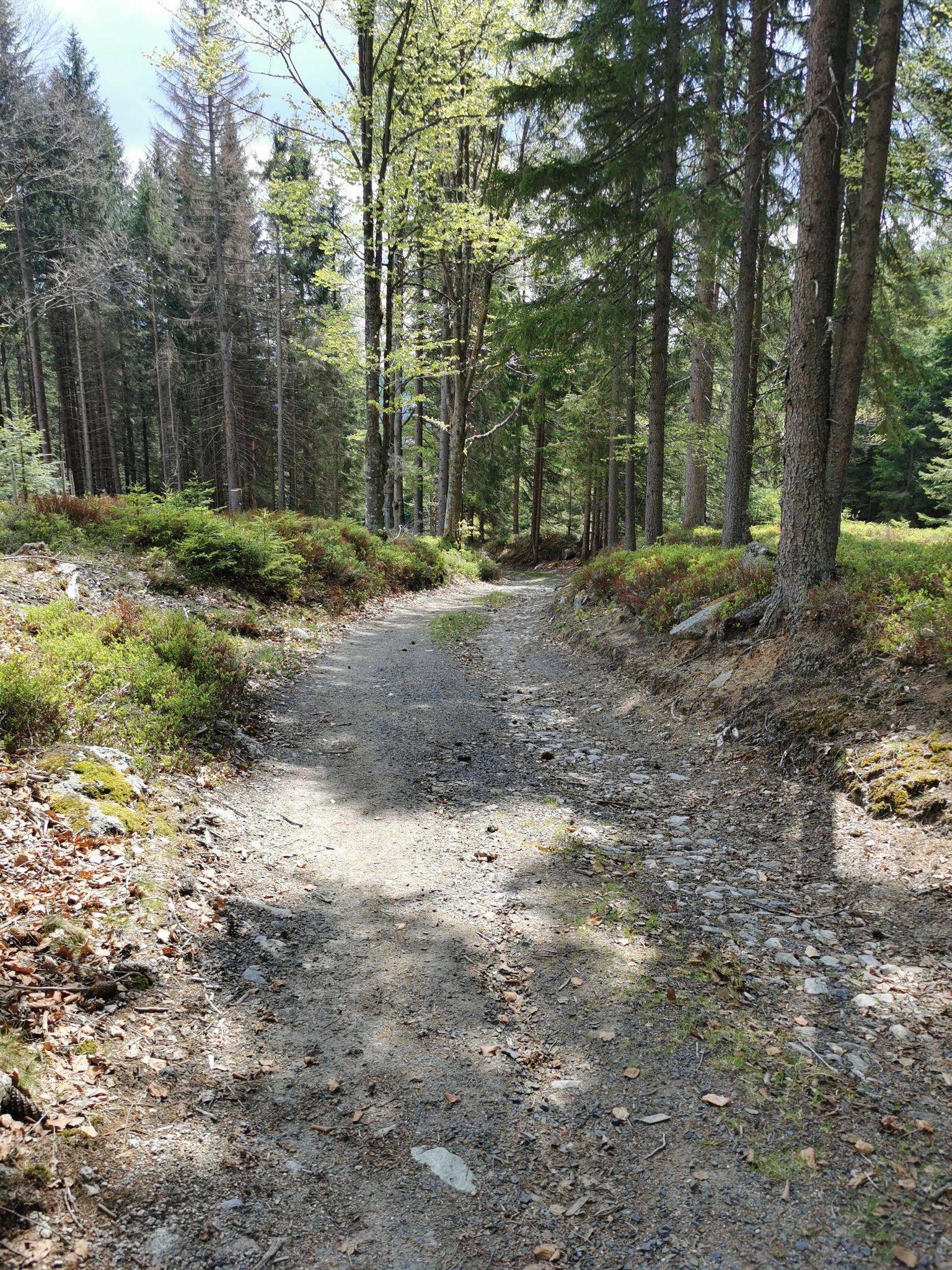 historische Wegstrecke