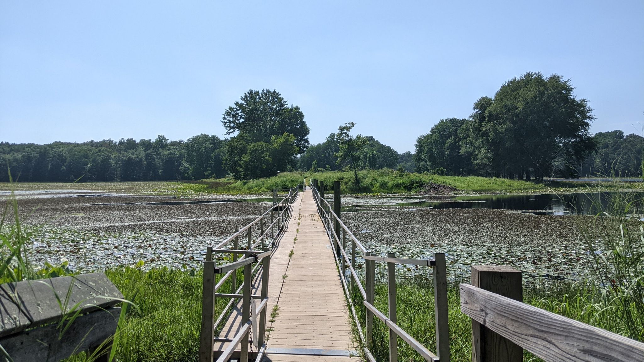 Long wooden boardwalk over a lily pad-covered marsh under bright sun. - Cash Lake Loop Trail