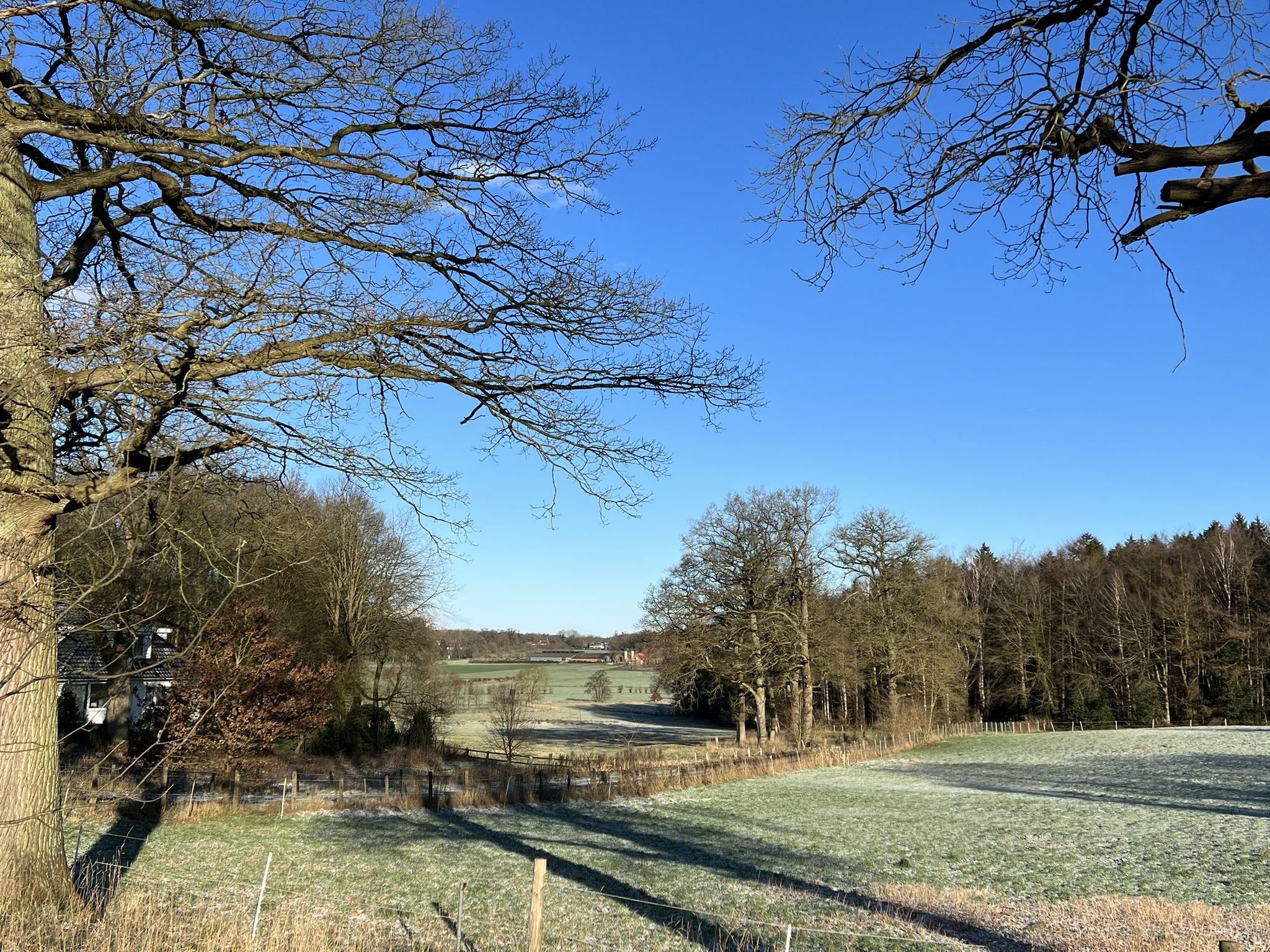 Vista
