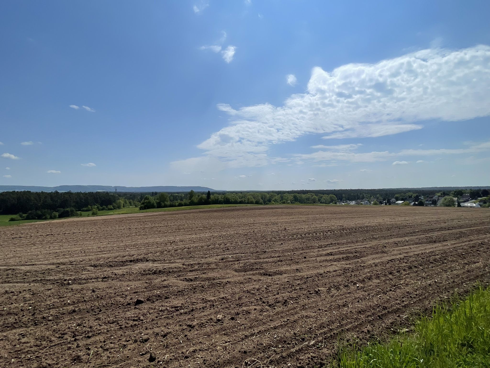 Blick nach Altdorf von der Brunner Höhe