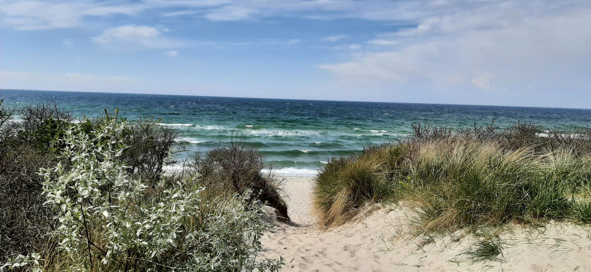 Strand 