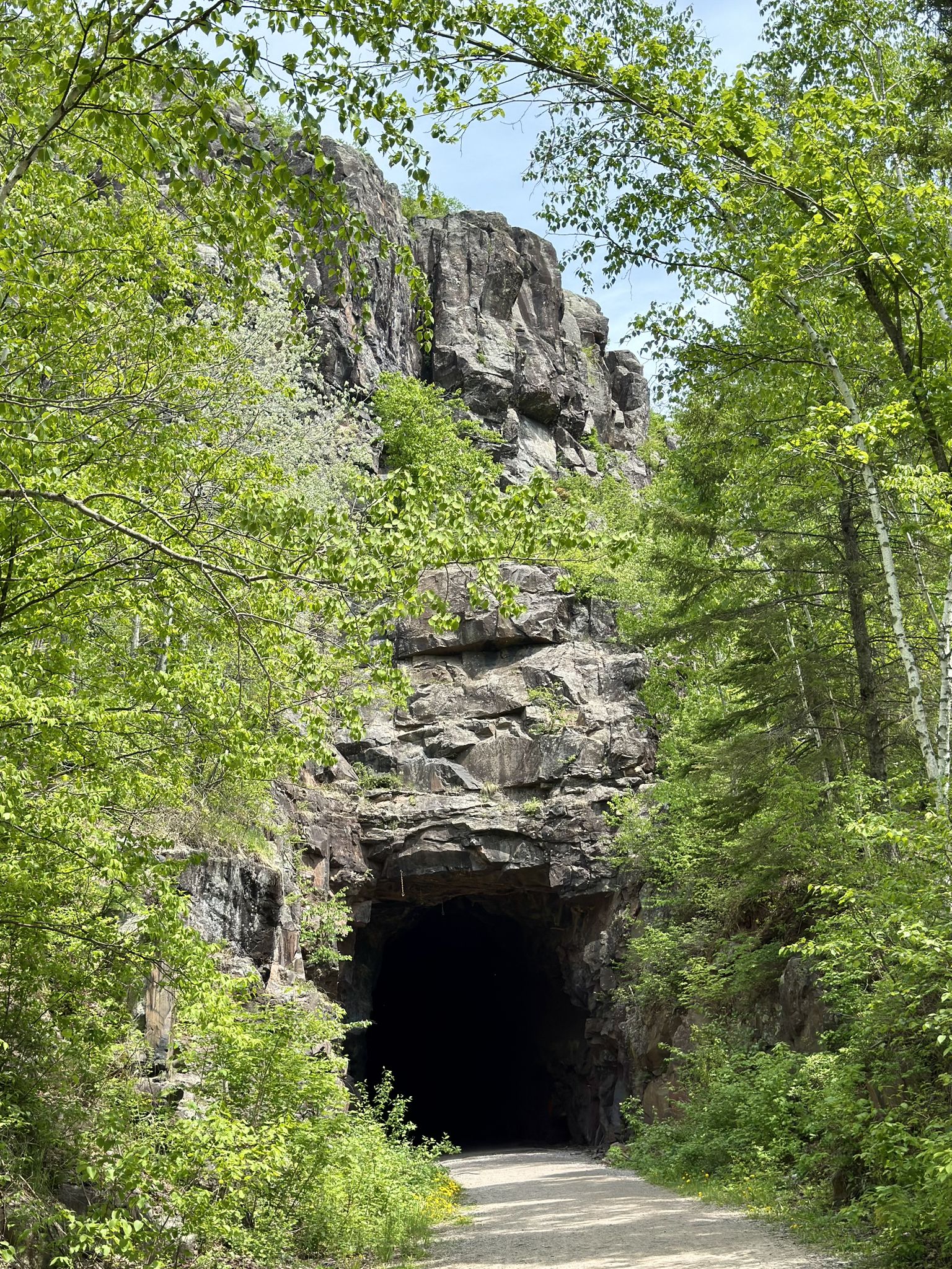 A dark tunnel entrance carved into a rocky cliff, surrounded by green trees. - Ely's Peak Loop Trail