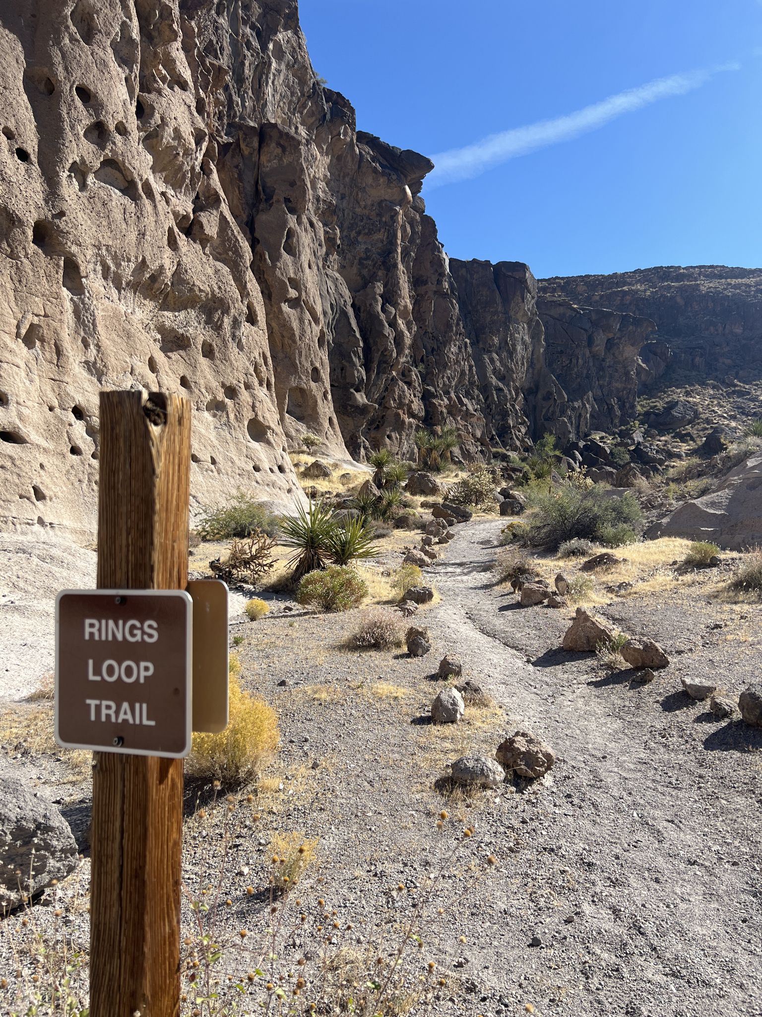 A trail sign points to a path winding past a tall, eroded rock wall. - Rings Loop Trail