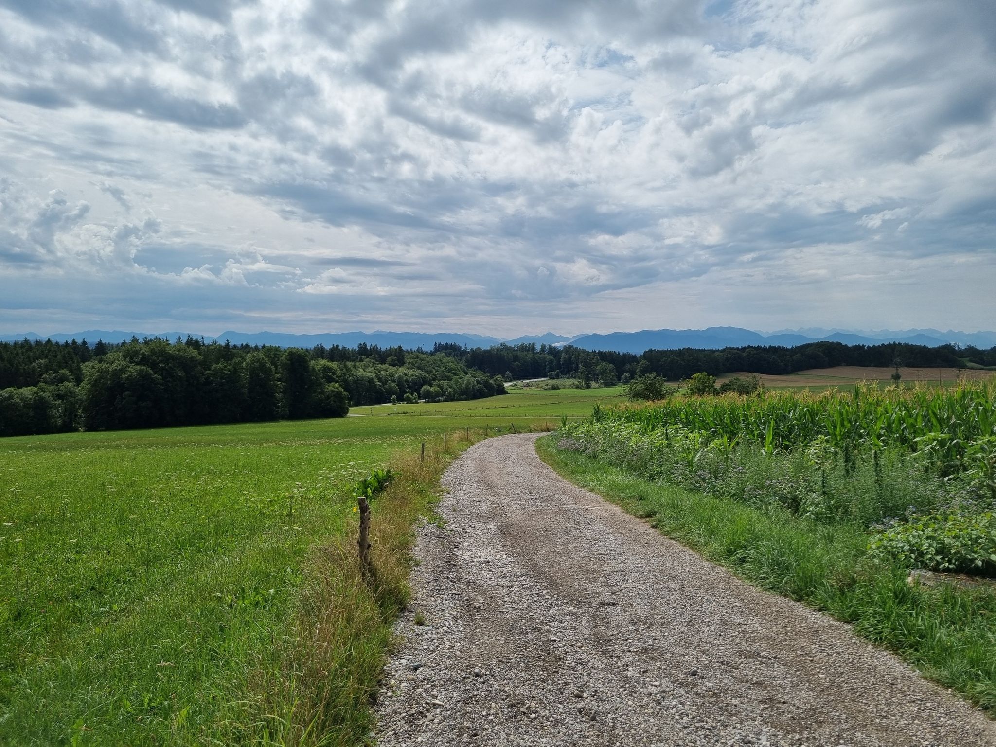 Blick auf die Alpen