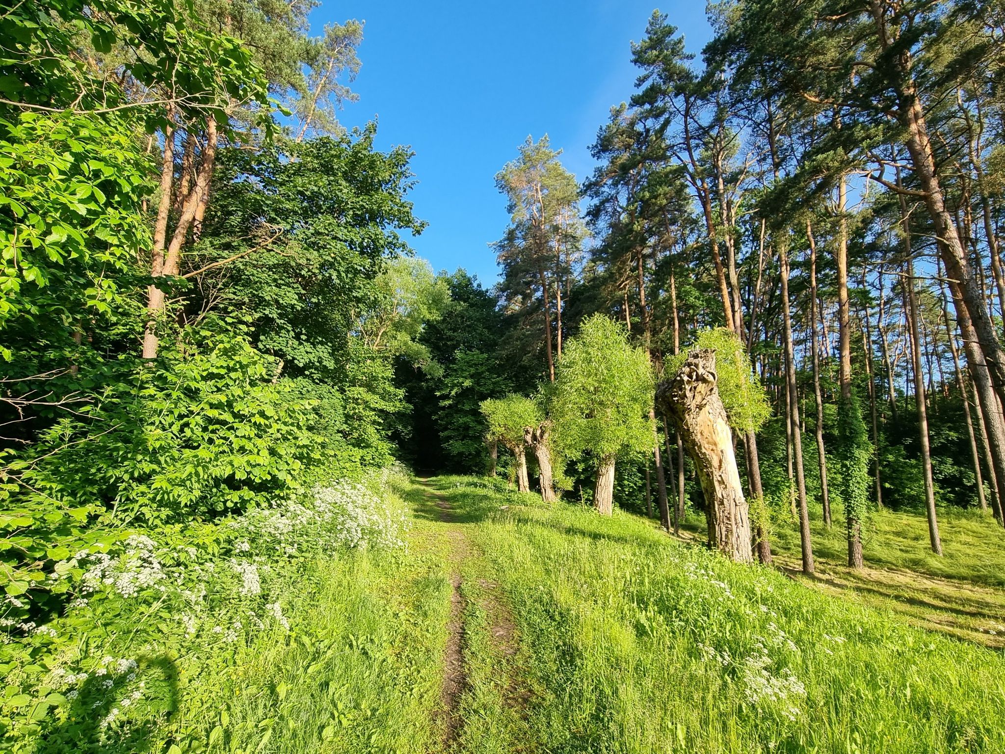 Senasis Vilnius-Kaunas
