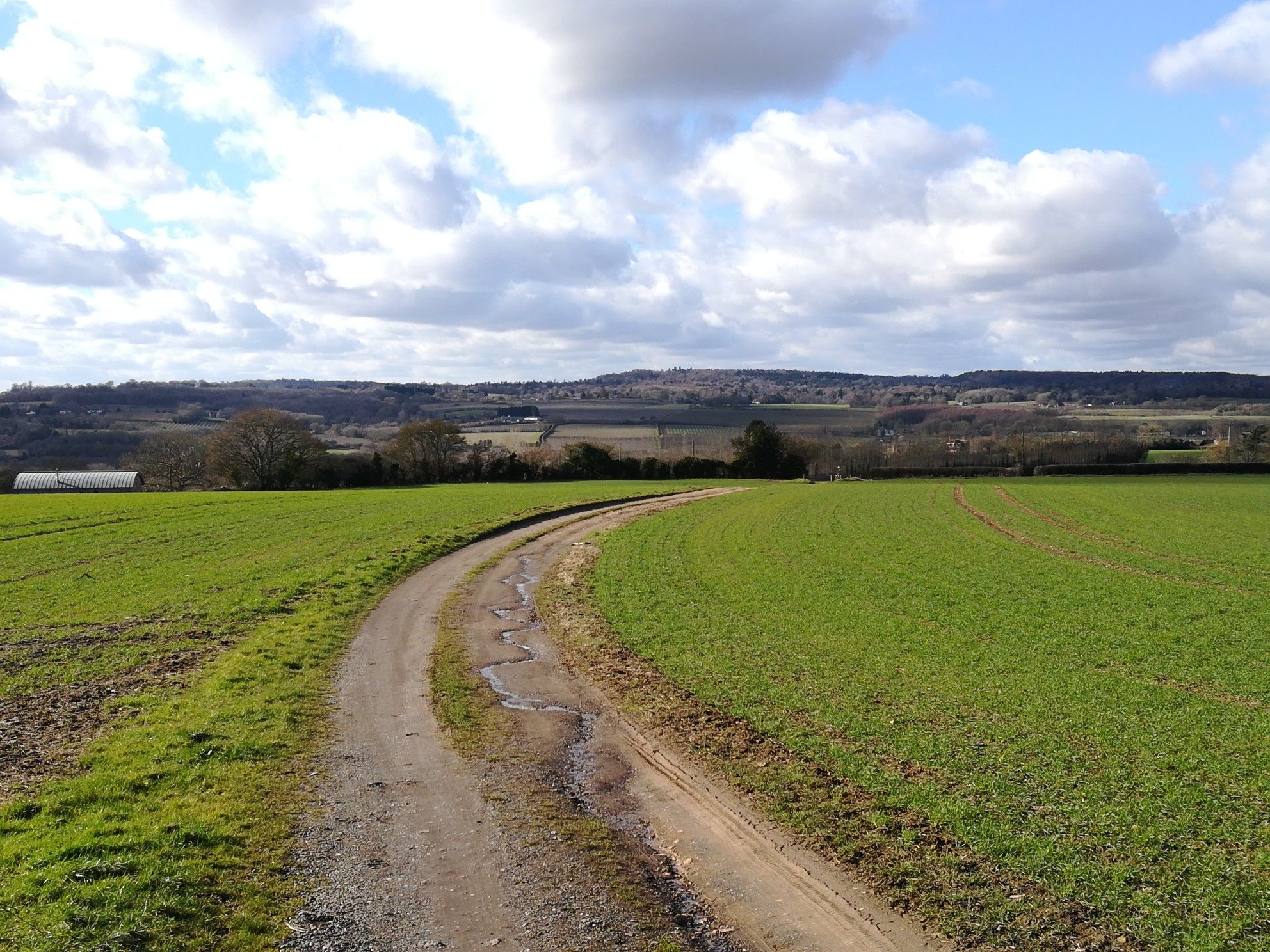 View of the North Downs