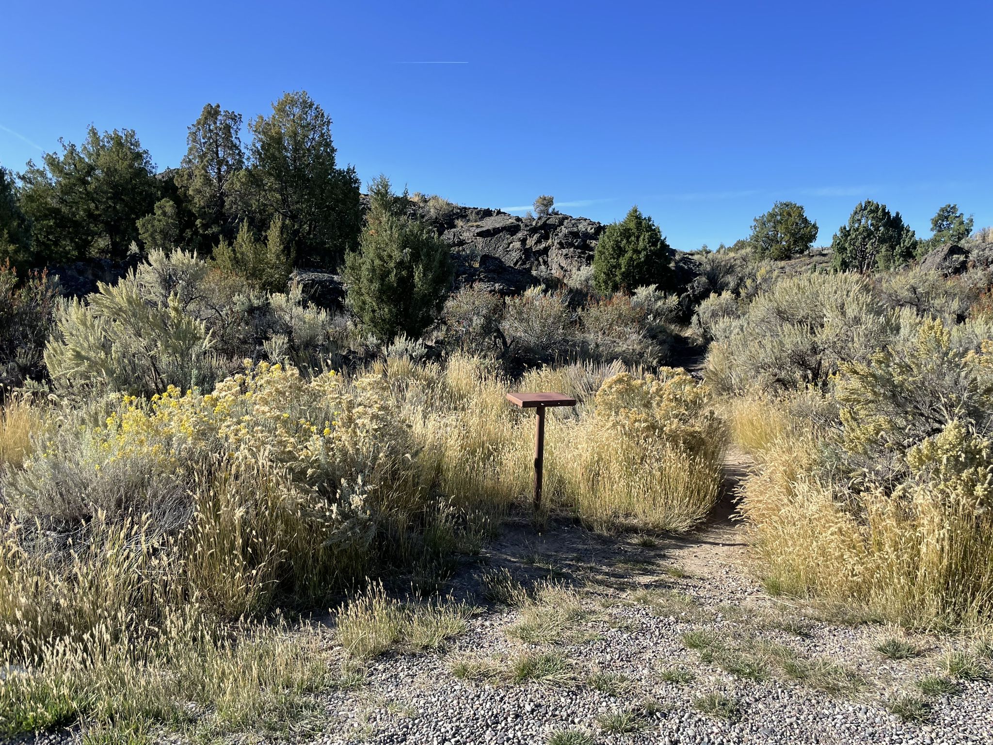 A small wooden sign in tall dry grass, marking a path through dense bushes. - Twentymile Lava Trail