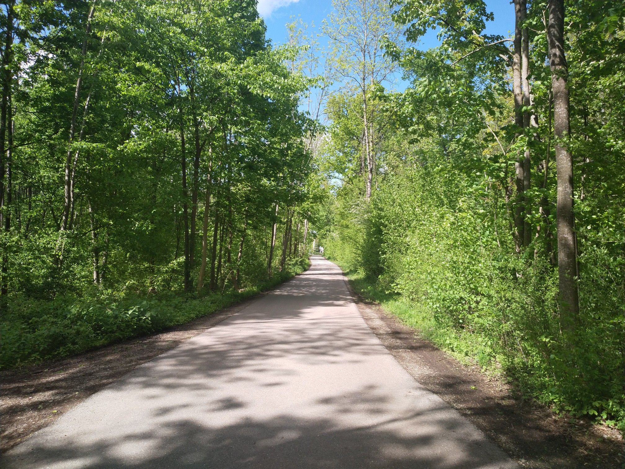 Eichenried: Lohweg