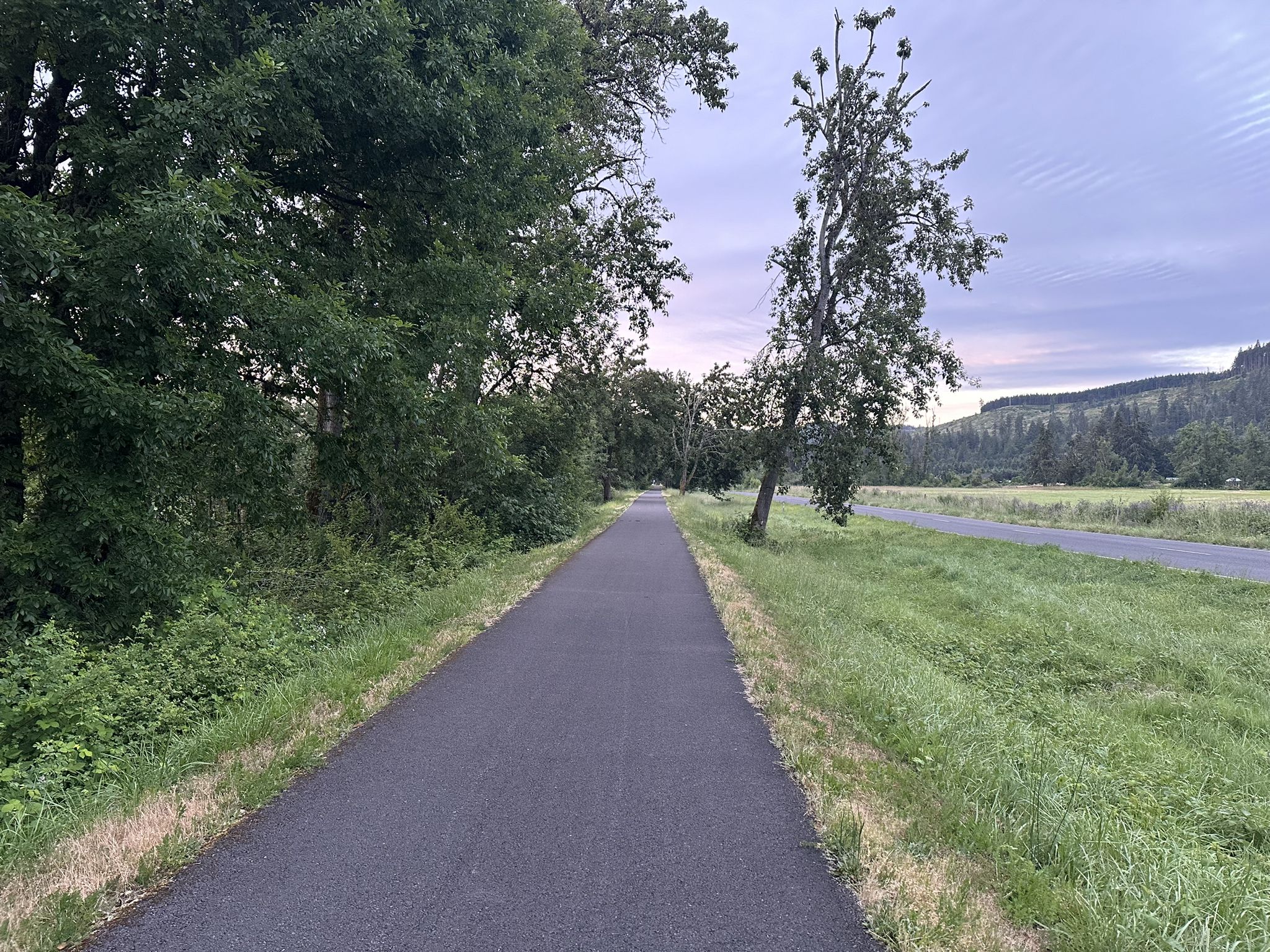 Paved path through green landscape under an overcast sky at dusk. - Row River Trail
