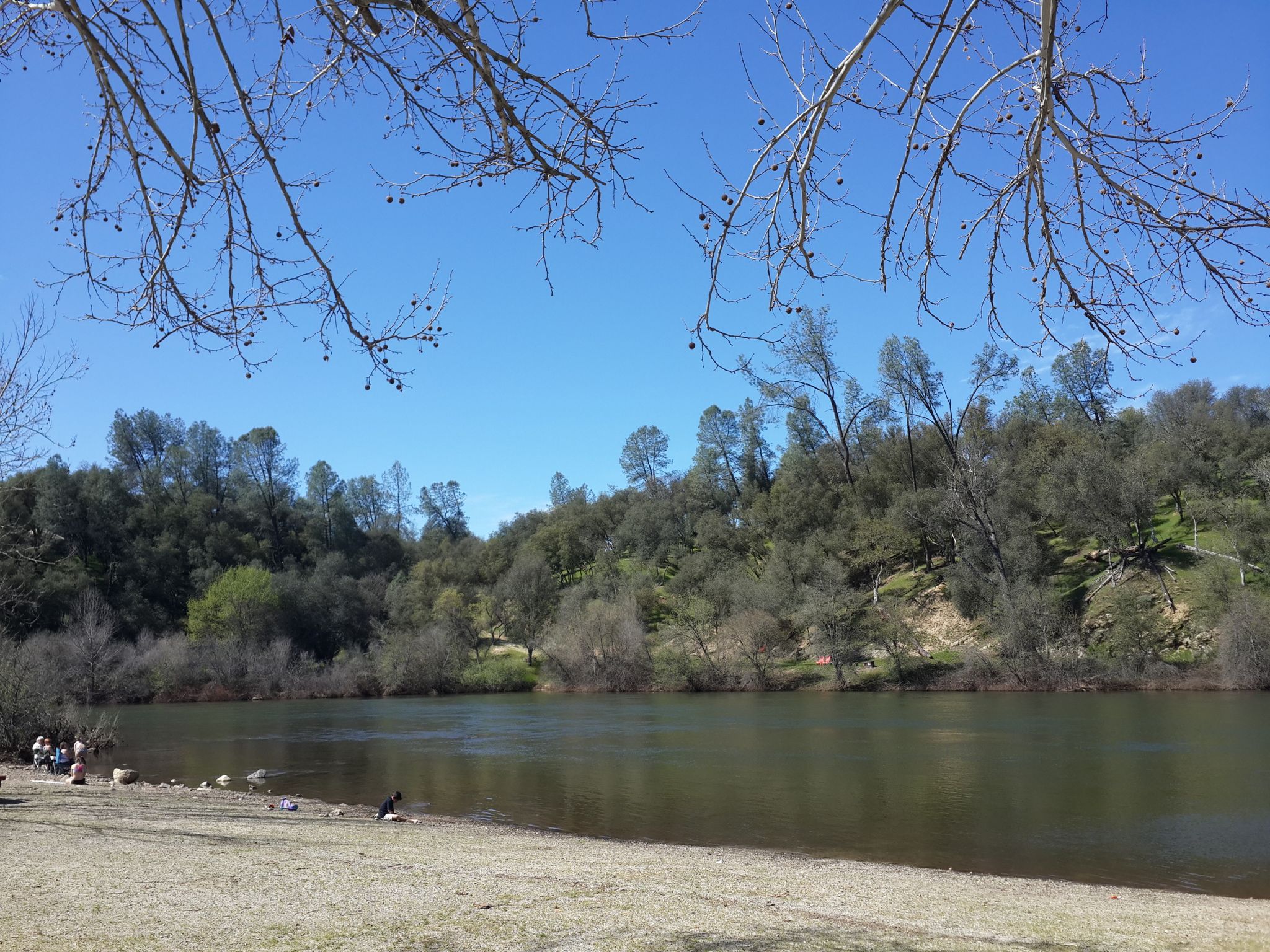Sunny day by a calm river with forested hills and people on the bank. - American River Trail at Henningsen Lotus Park