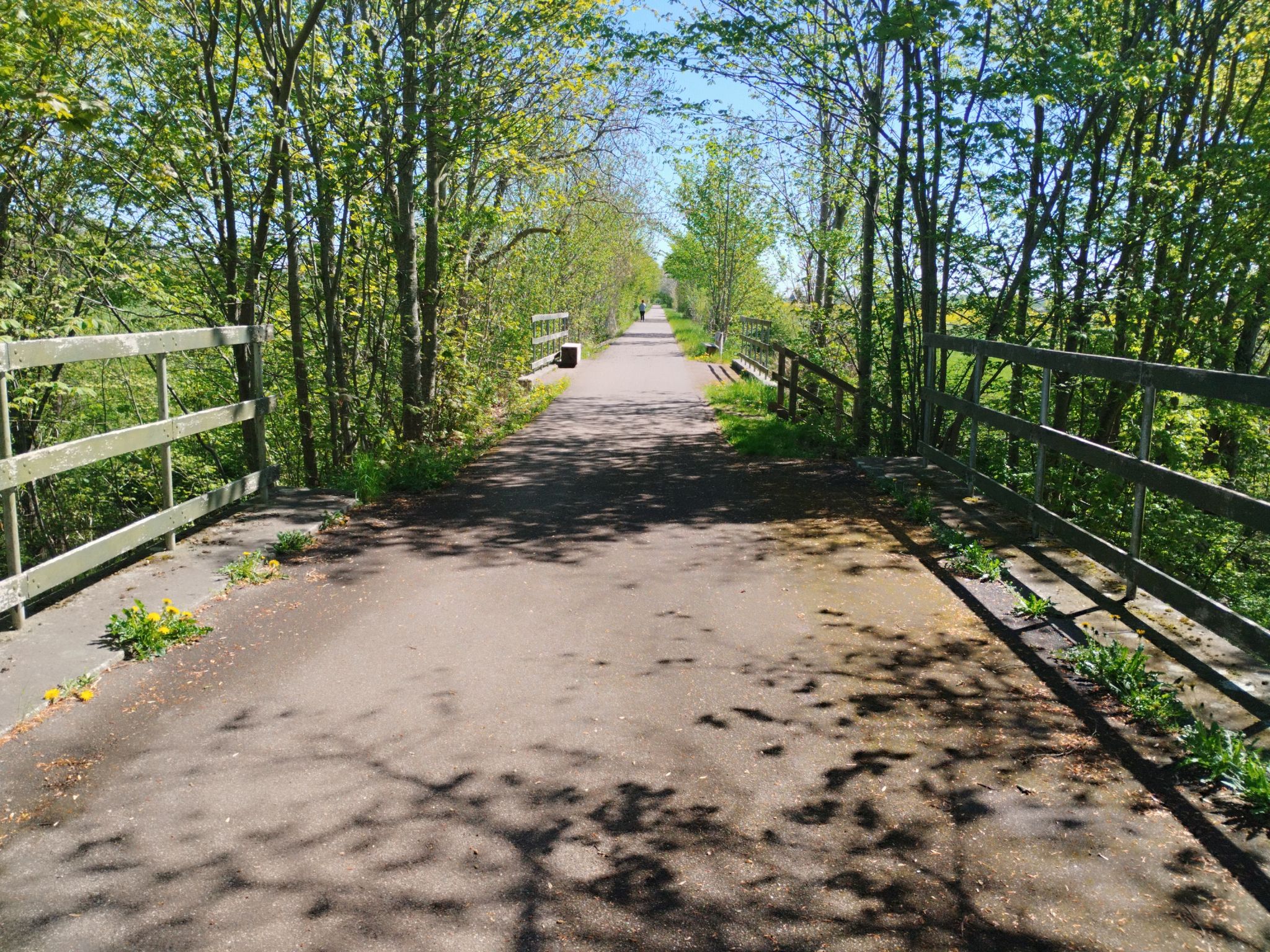 schöner Bahntrassenradweg 