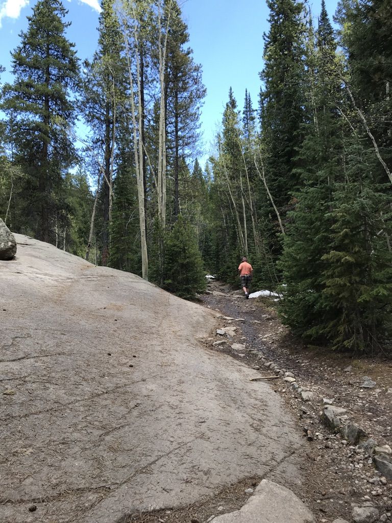A person walks on a dirt path through a sunlit forest with tall trees. - The Grottos Trail