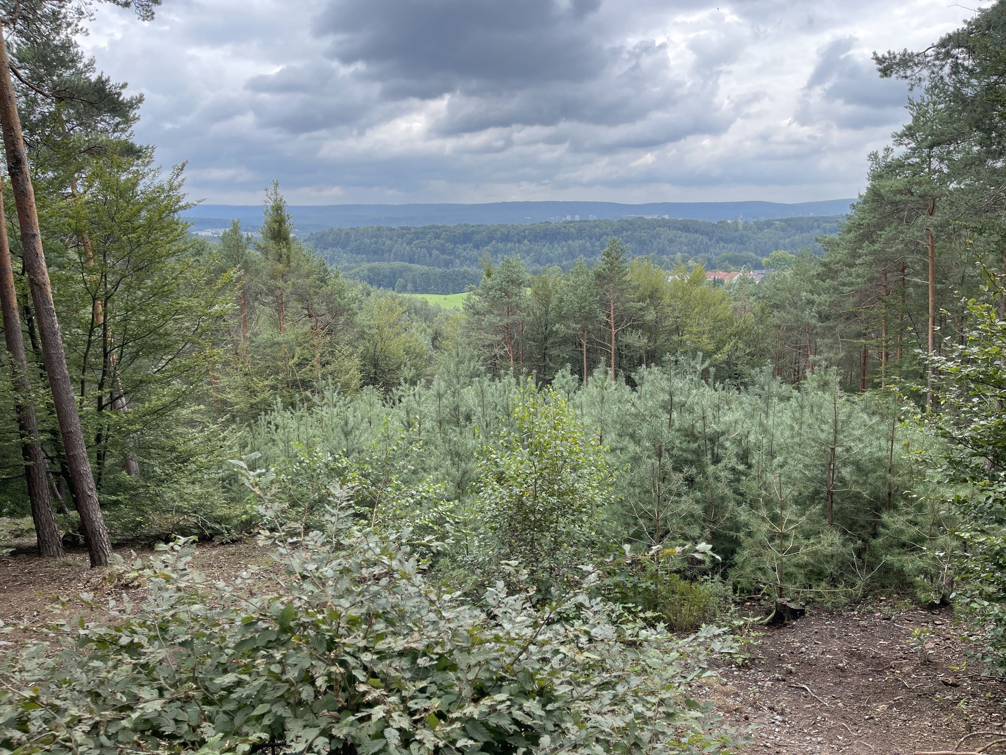 Aussichtspunkt Weltachsblick 