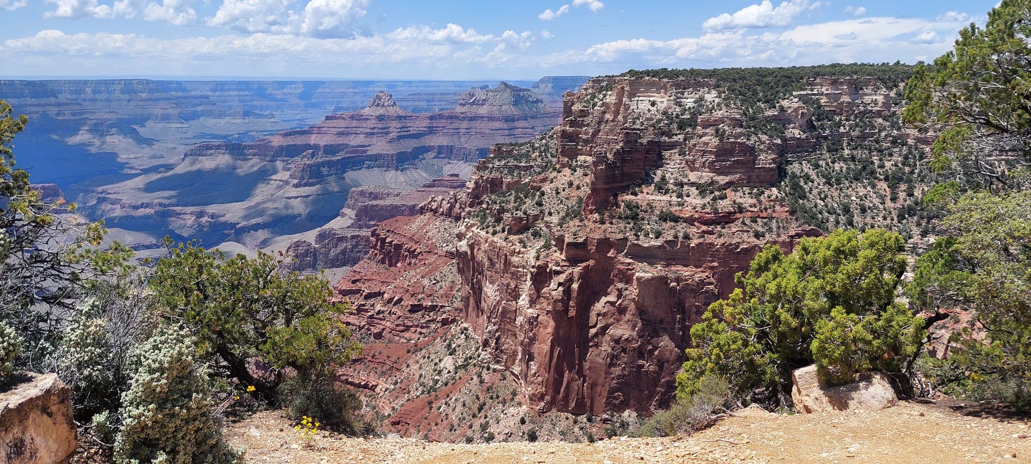 Panoramic view of a vast, layered red rock canyon on a sunny day. - Cape Royal Trail