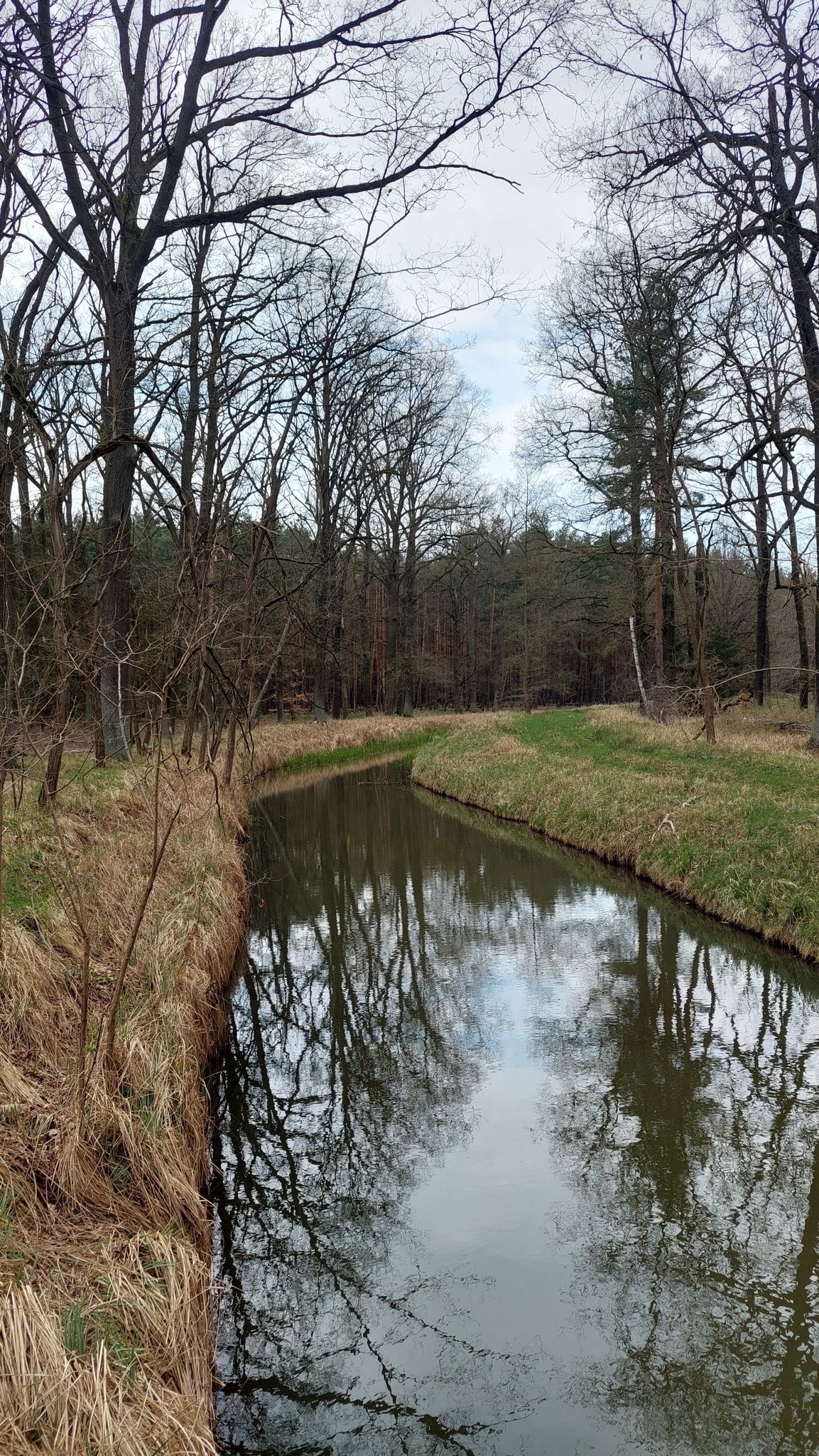 Der Neugraben sicherte einmal die Wasserversorgung im Schloß Annaburg