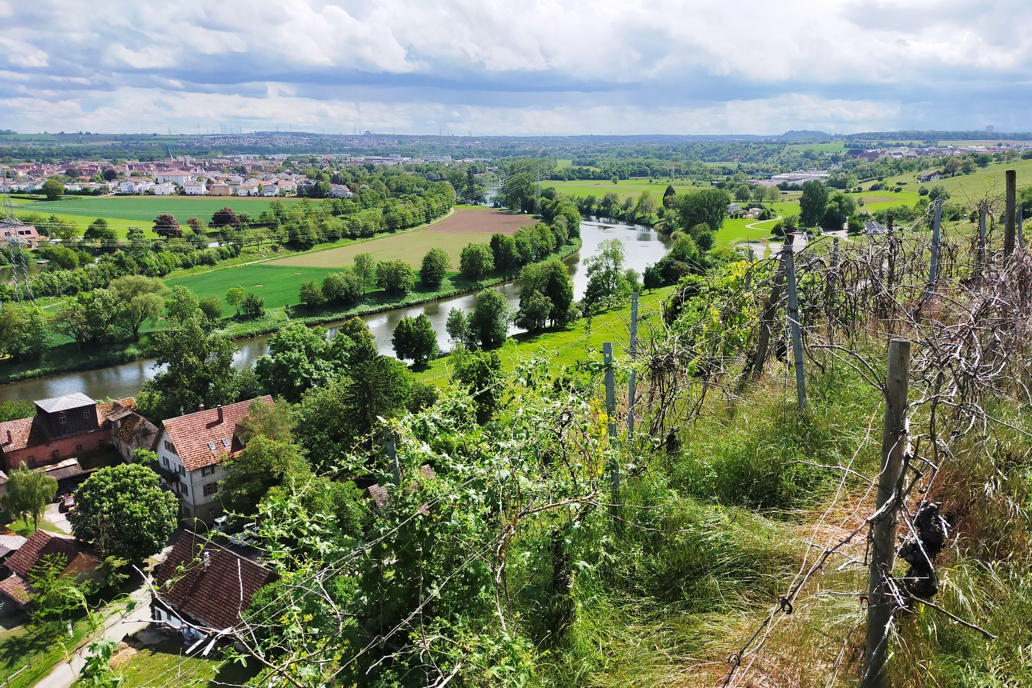 Blick auf den Neckar