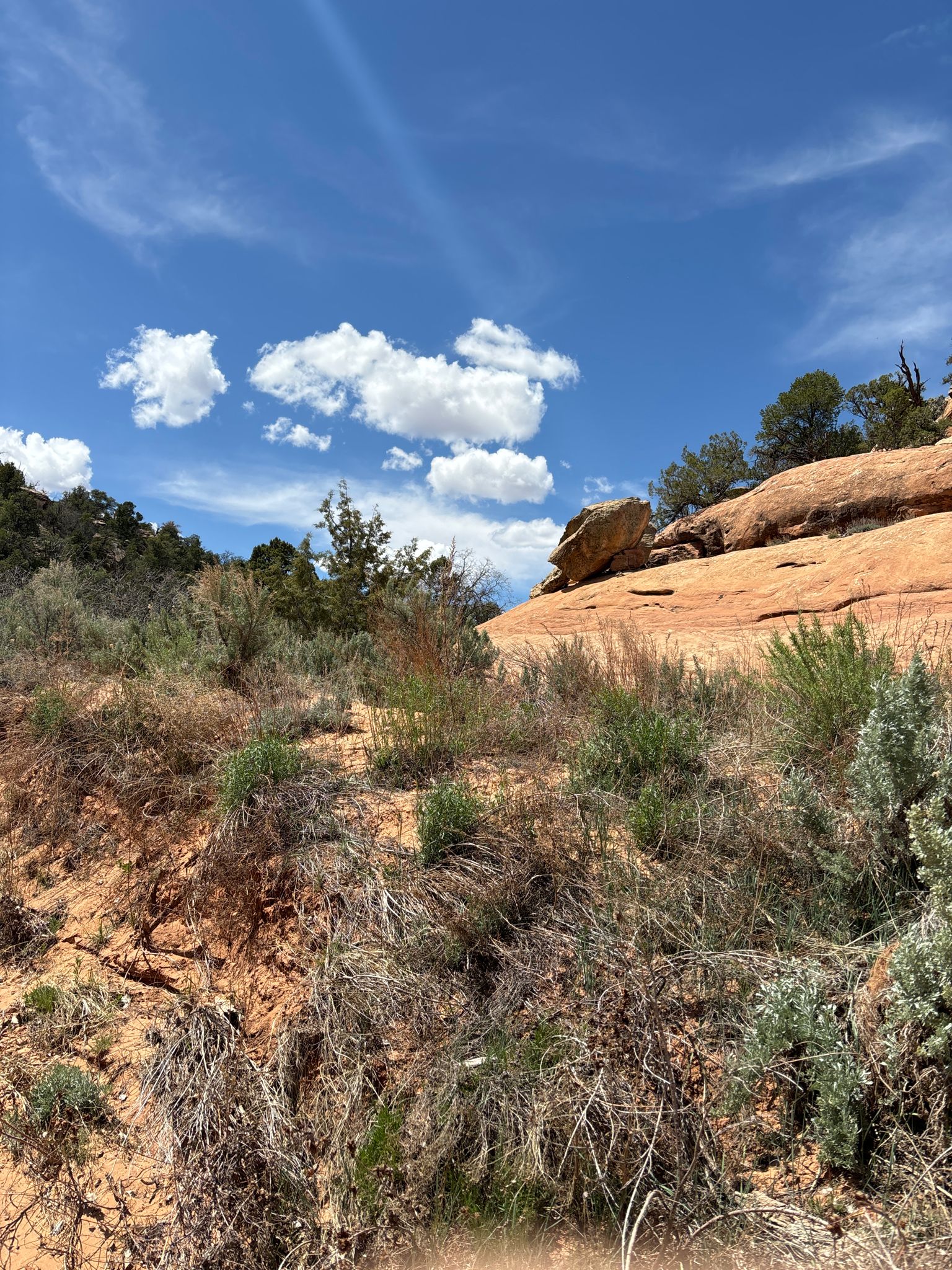 Arid landscape with red rock formations, sparse bushes, under a bright blue sky. - Mule Canyon Trail to House on Fire