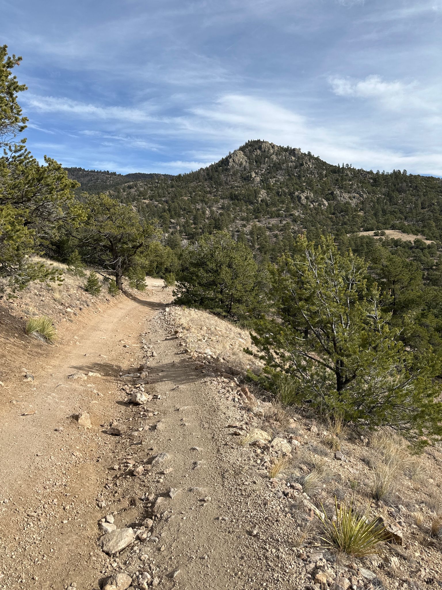 Sunny dirt trail ascends a forested mountain with a partly cloudy sky. - Bald Mountain Loop Trail