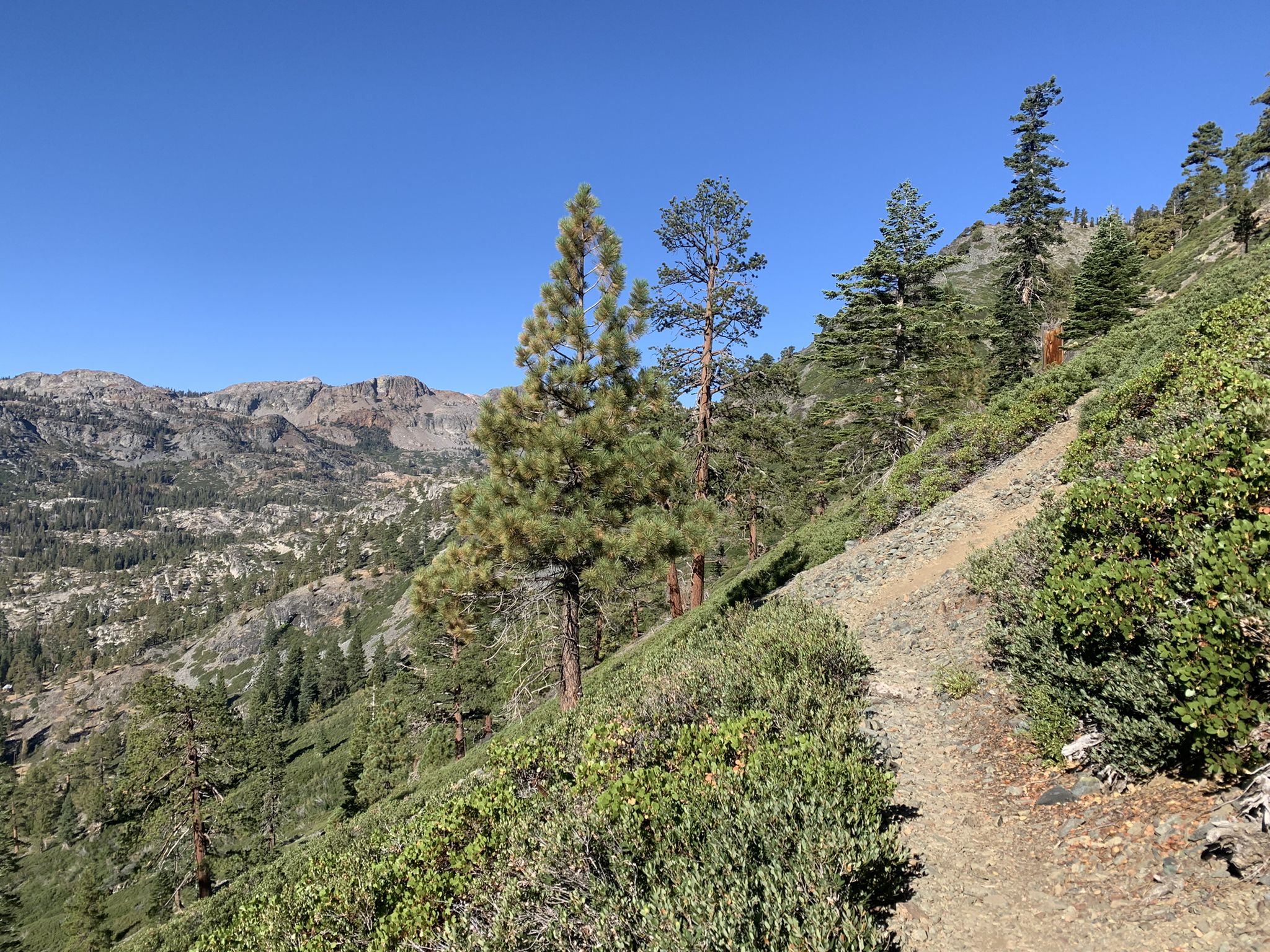 A dirt trail winds along a steep, forested mountain slope on a sunny day. - Gilmore Lake via Mount Tallac Trail
