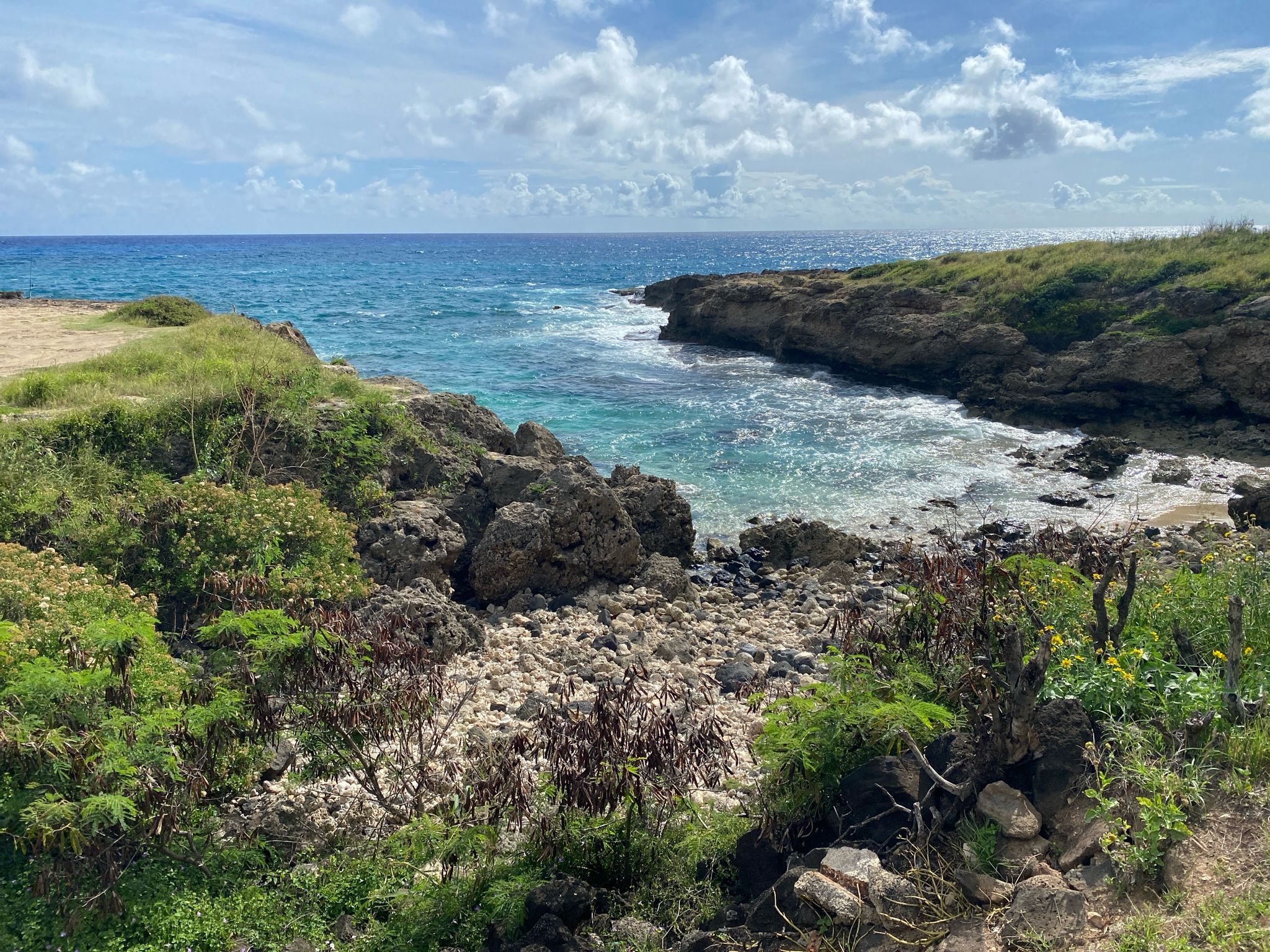 Rocky cove with clear turquoise water, surrounded by green vegetation under a bright sky. - Kaʻena Point Trail