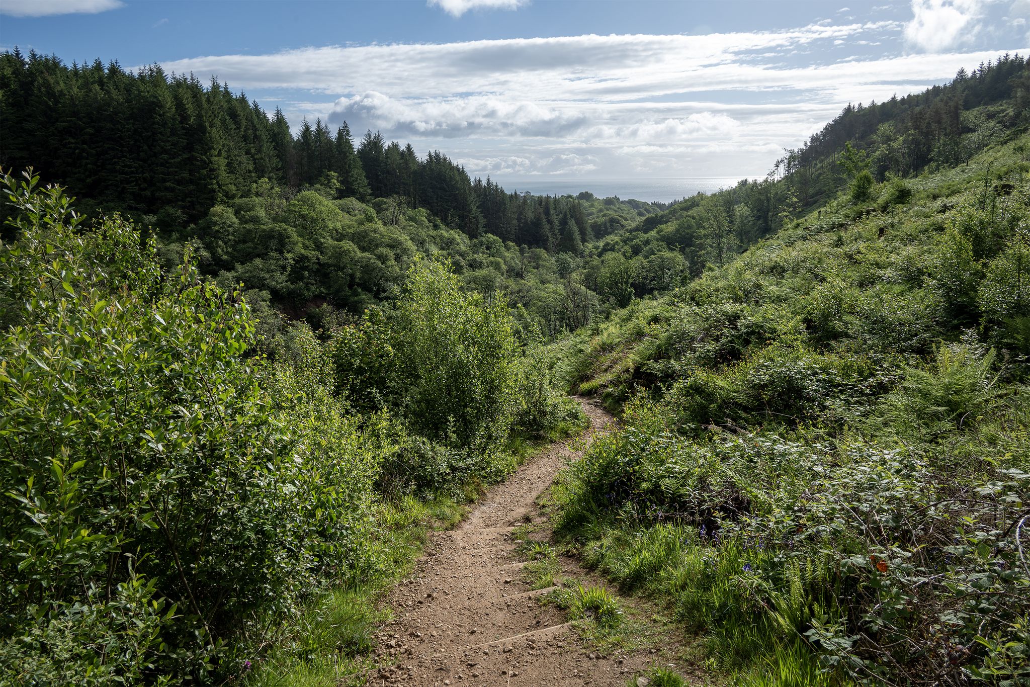 The track up to the falls