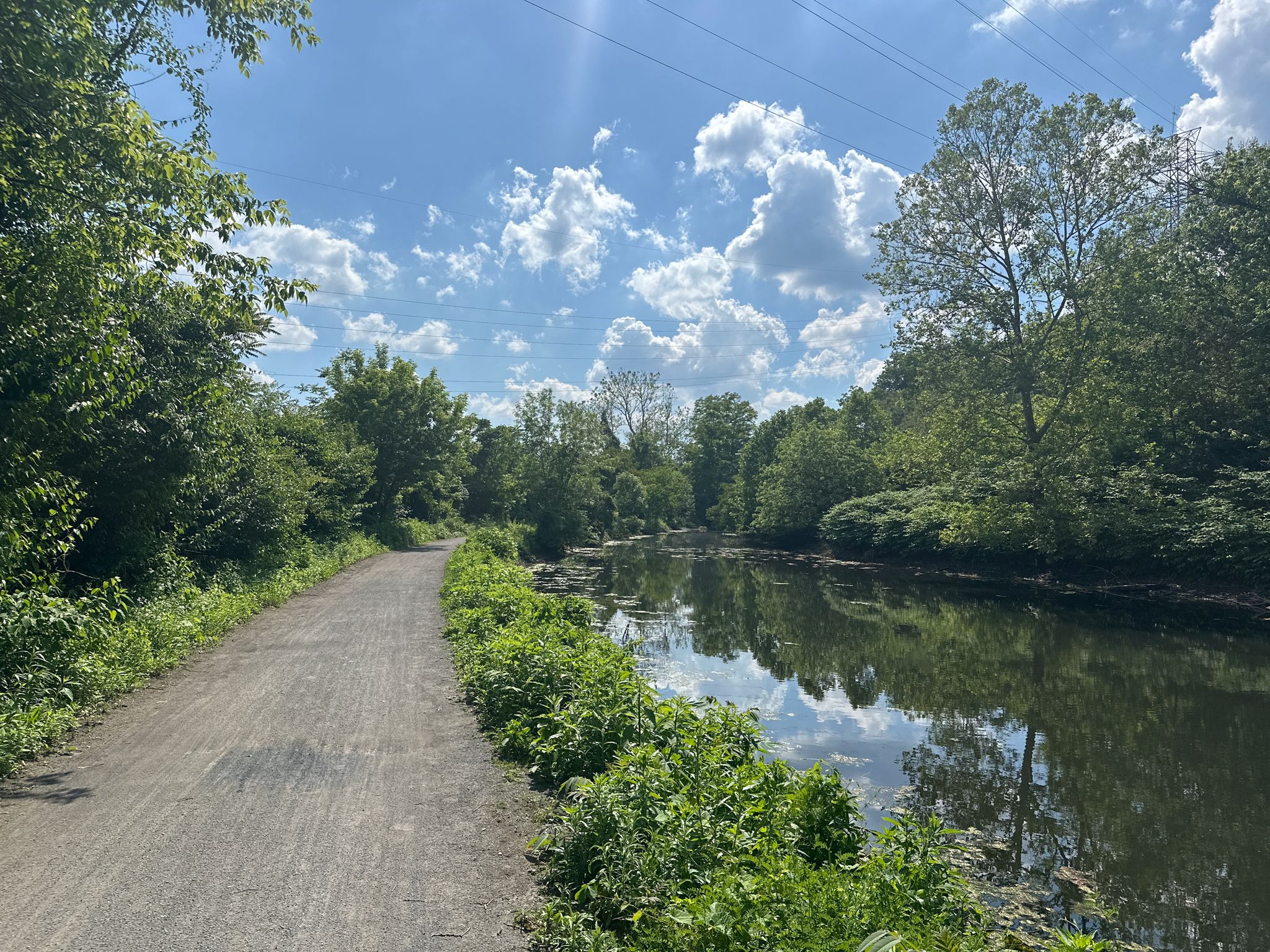 A dirt path runs alongside a calm river under a sunny sky. - Delaware Canal State Park – Laubach Island loop from Easton