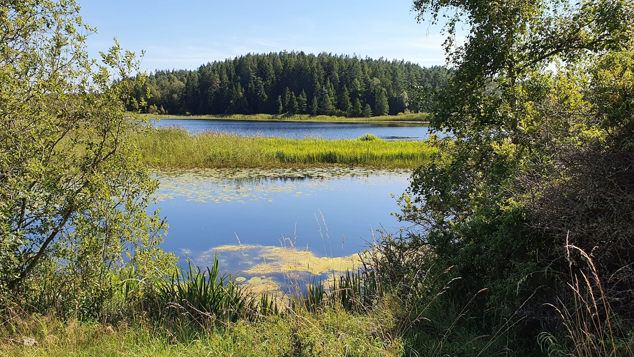 Seeblick