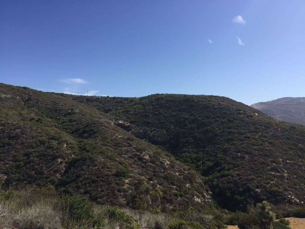 Sunlit hills covered in dense green and brown scrub under a clear blue sky. - Laguna Bowl and Water Tank Trail Loop