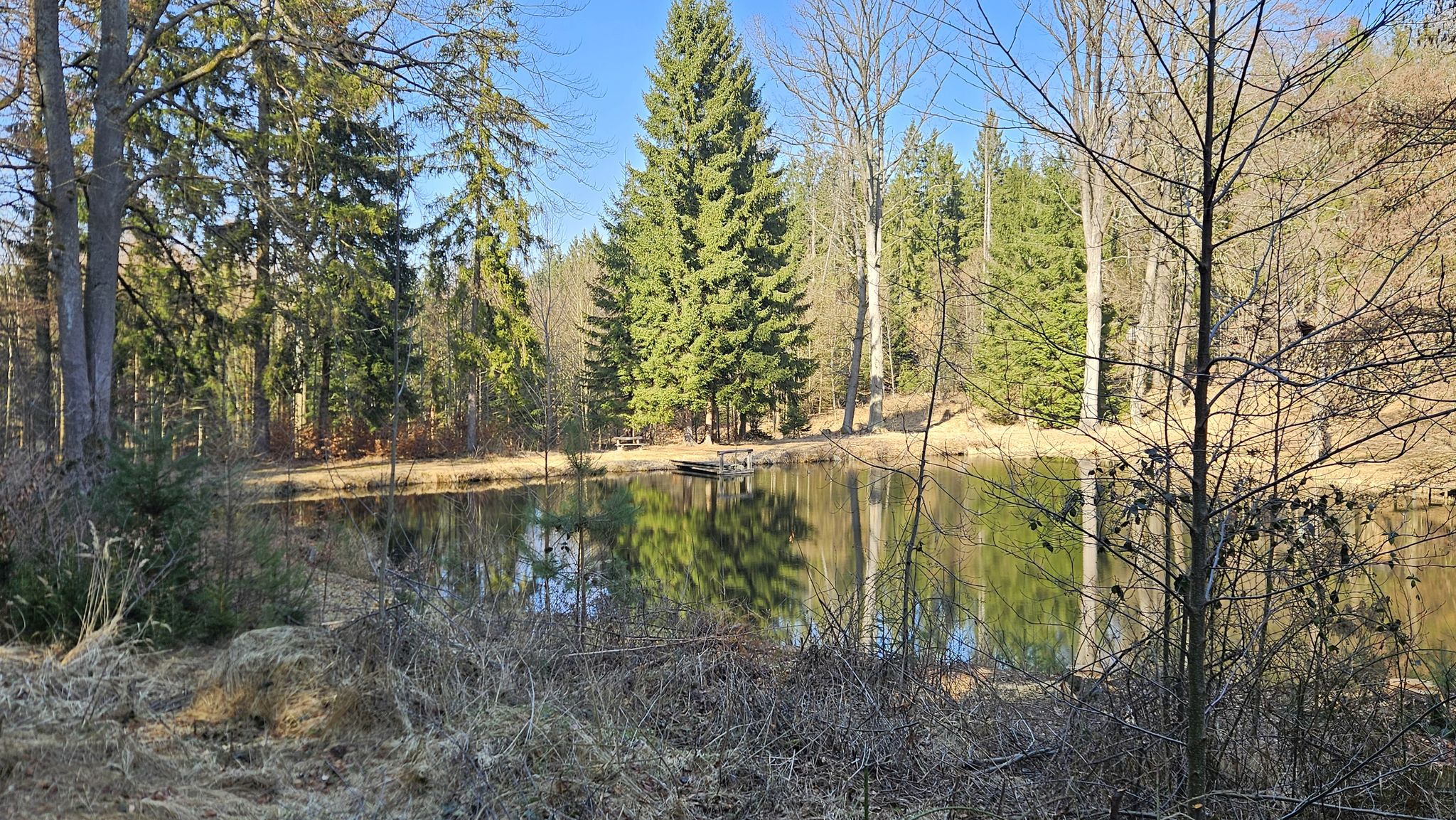 Winkelteich mit Rastbankerl